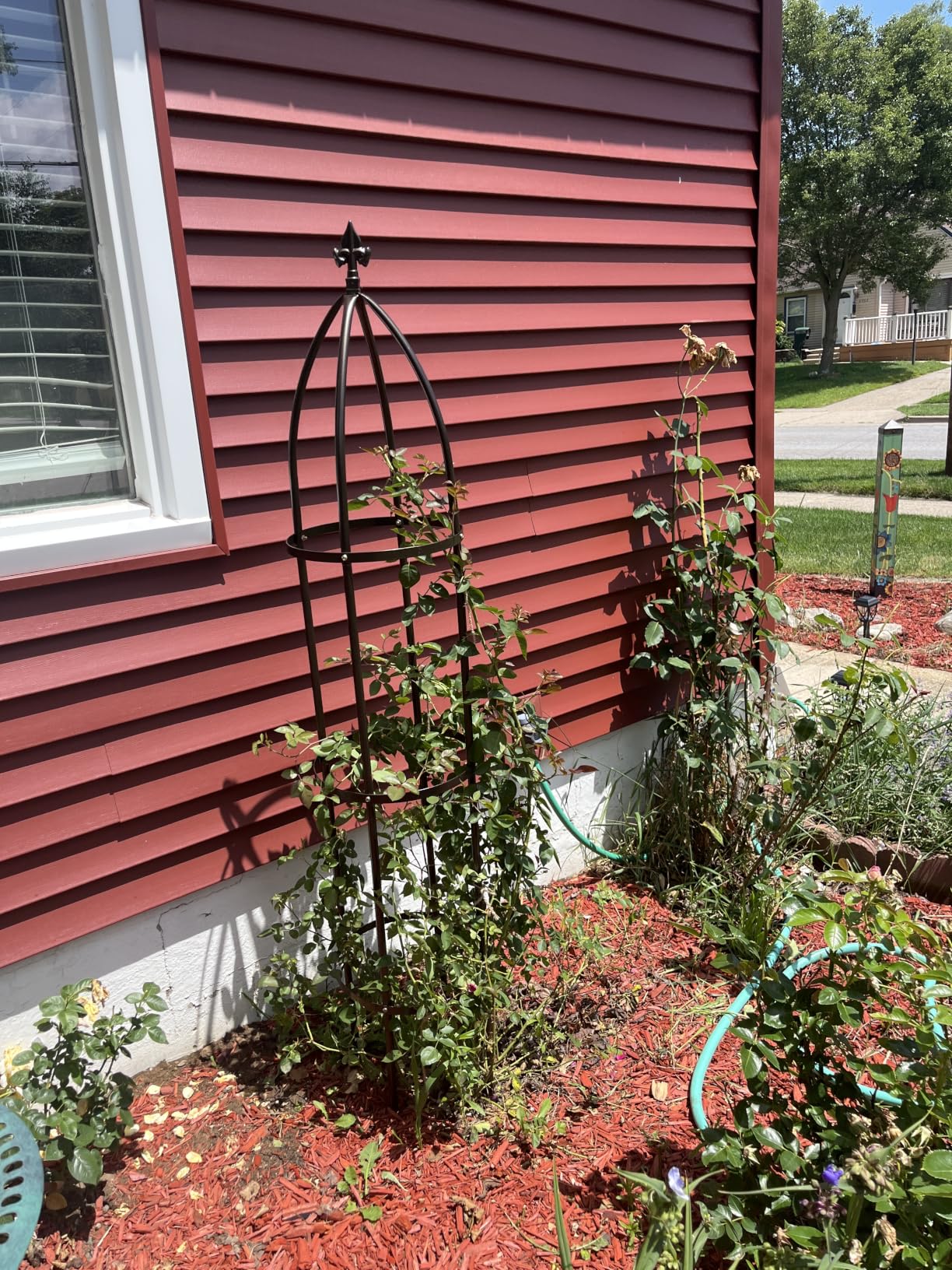 Garden Obelisk Trellis 100% Metal Heavy Duty 5.5 ft for Climbing Vines | Upgraded 16mm Thick Steel Tubes Bronze Rustproof Tower customer photo 1