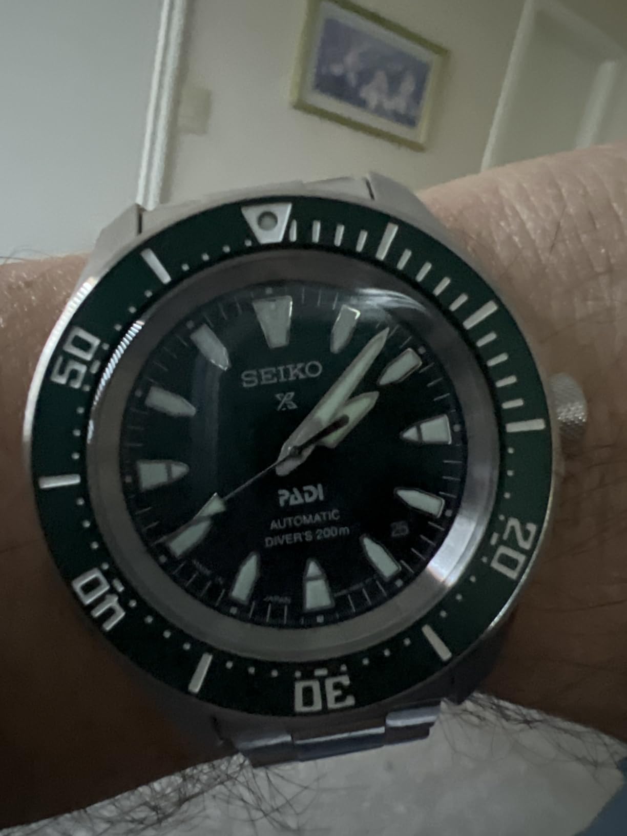 Seiko Prospex Men's Watch with Stainless Steel Case, Automatic Movement, Water Resistant, Luminescent Hands customer photo 2