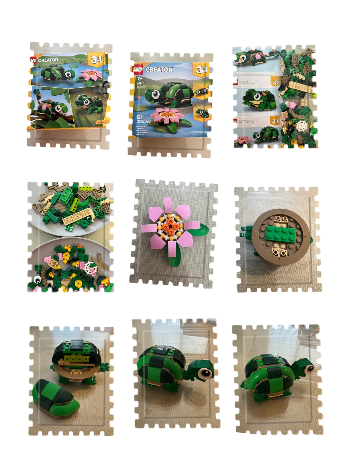 LEGO Creator 3 in 1 Turtle with a Water Lily Flower Building Toy for Girls & Boys - Kids Build a Chameleon, Frog, or Turtle Toy Figure - Gift Idea for Animal Lovers, Ages 7+ - 31377 customer photo 1