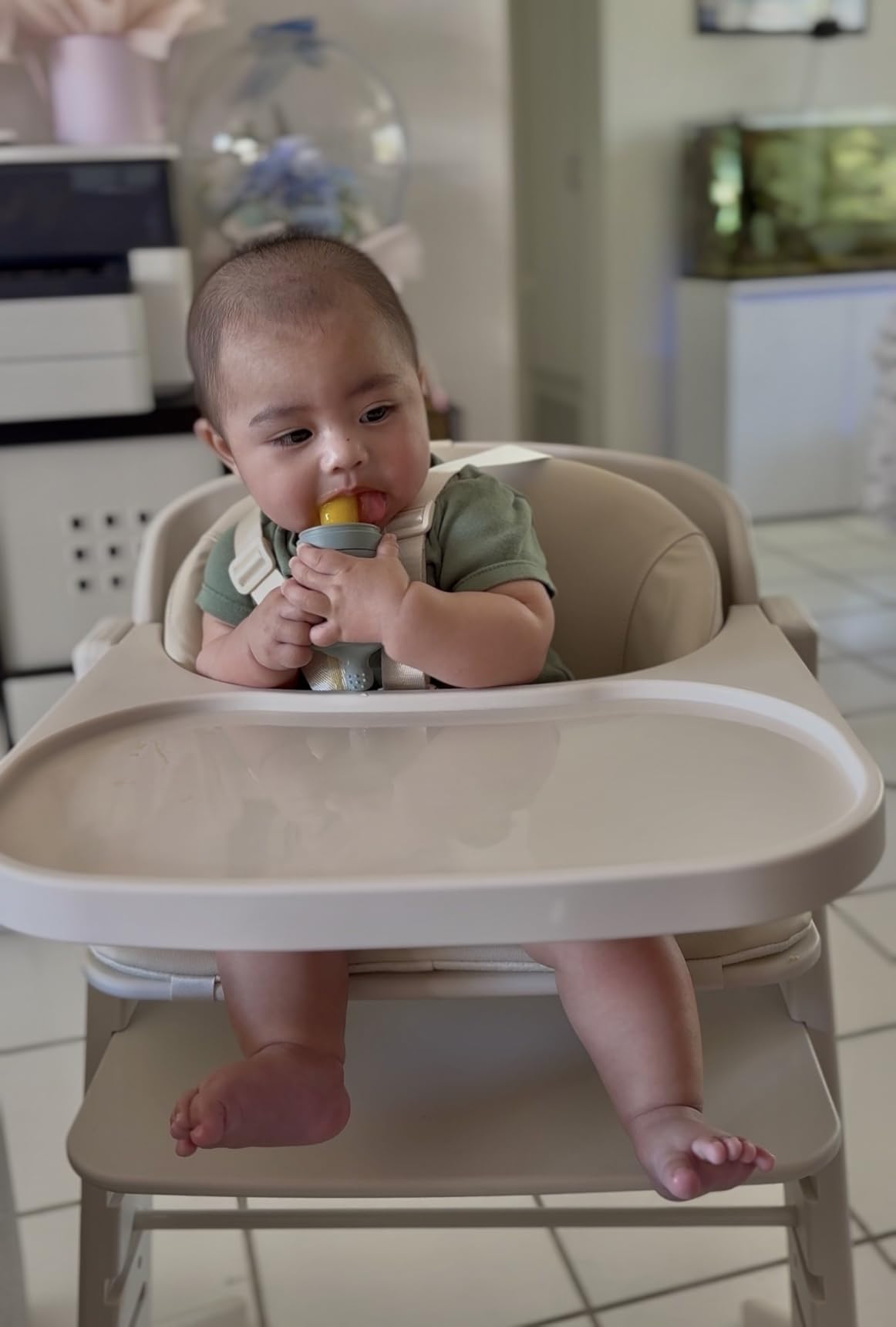 Obee Odee Fully Washable Baby High Chair for Babies and Toddlers (Grey) | Growth High Chair for Toddlers from 6 Months to 220 Lb, Convertible High Chair with Soft Cushion, Adjustable Seat & Tray customer photo 1