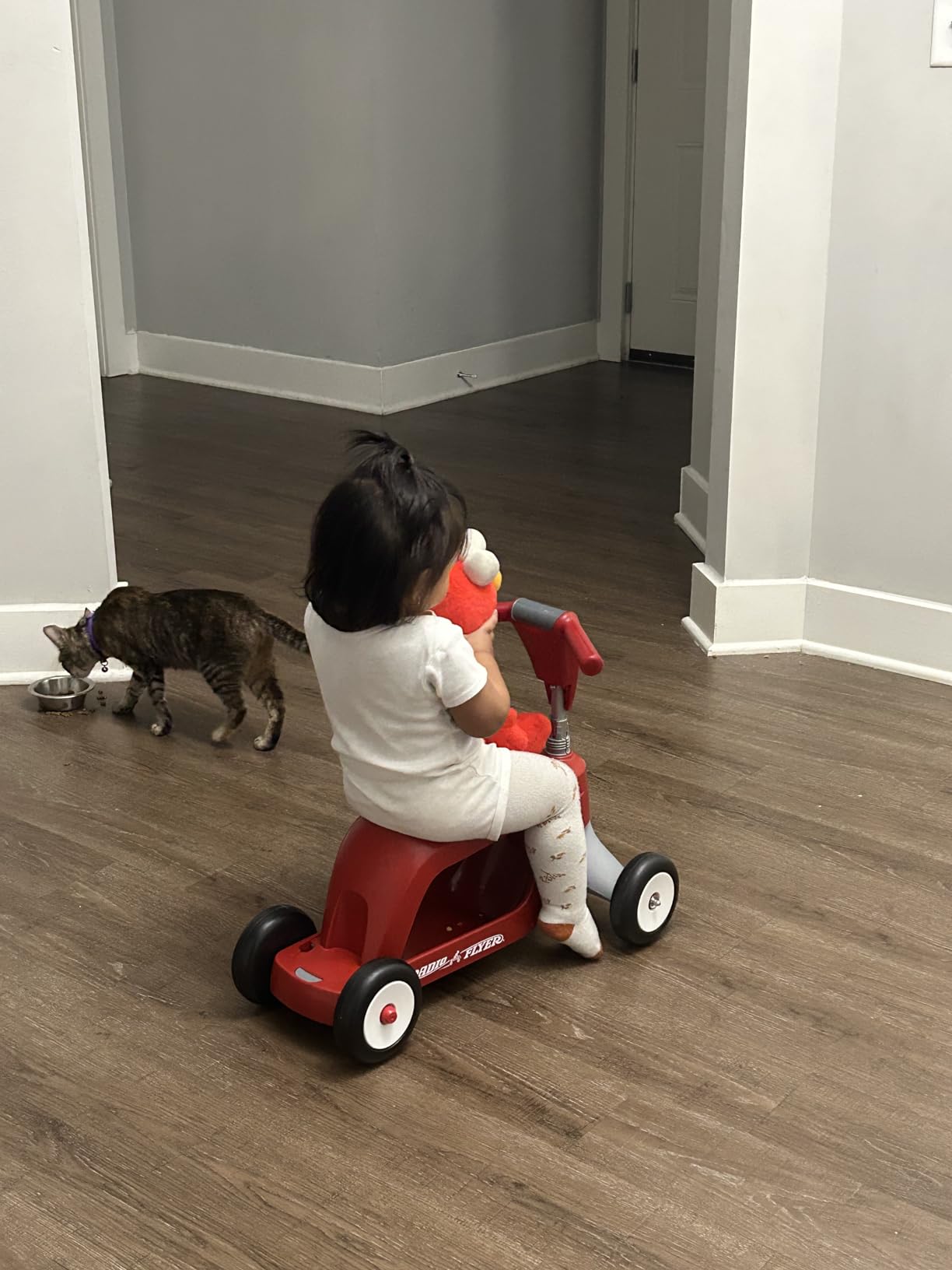 Radio Flyer Scoot 2 Scooter, Blue/Red/Pink, for Kids Ages 1-4, Ride On Toy or 4-Wheel Kids Scooter, Durable Wheels and Frame, Converts Easily with Flip Deck, Toddler Ride On Toys (Amazon Exclusive) customer photo 2