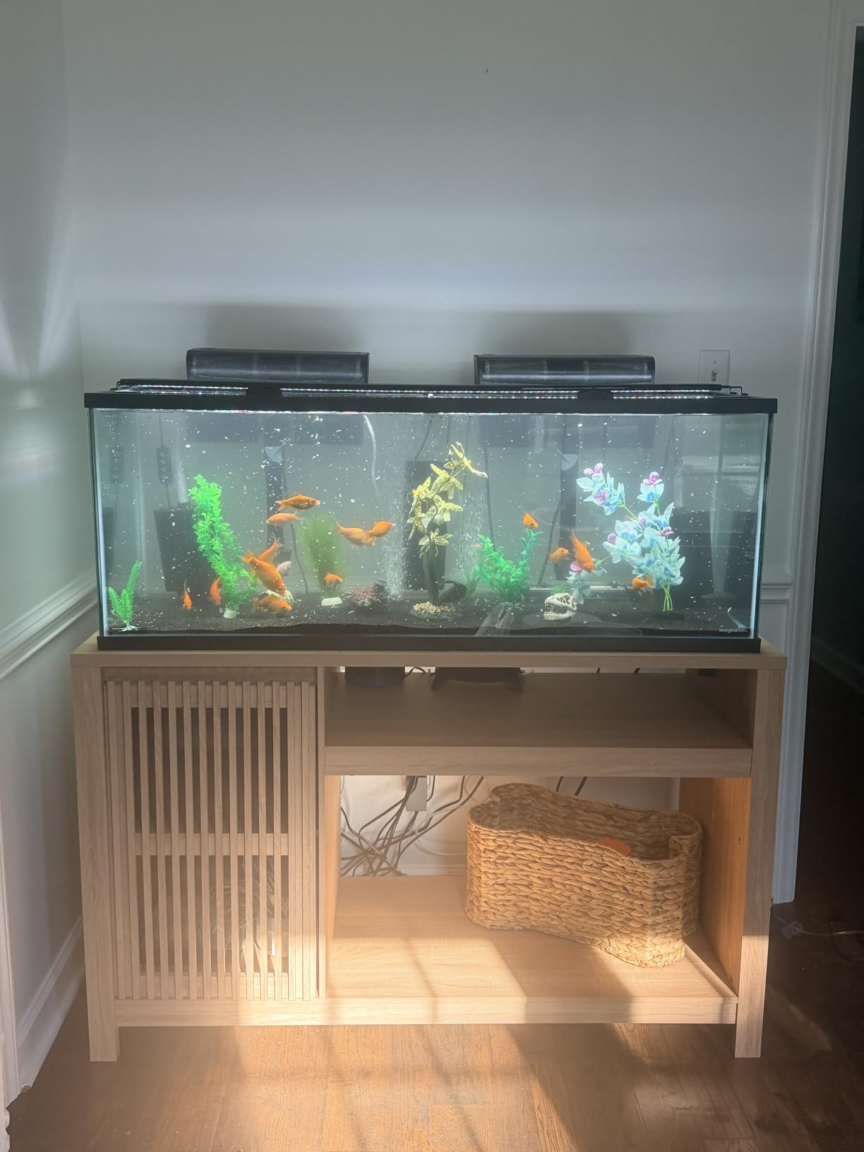INNOD 55-75 Gallon Fish Tank Stand with Power Outlet, Aquarium Stand with Cabinet, Heavy Duty Reptile Tank Stand Table for Fish Accessories Storage for Reptile Tank, Turtle, Reptil Terrarium customer photo 2