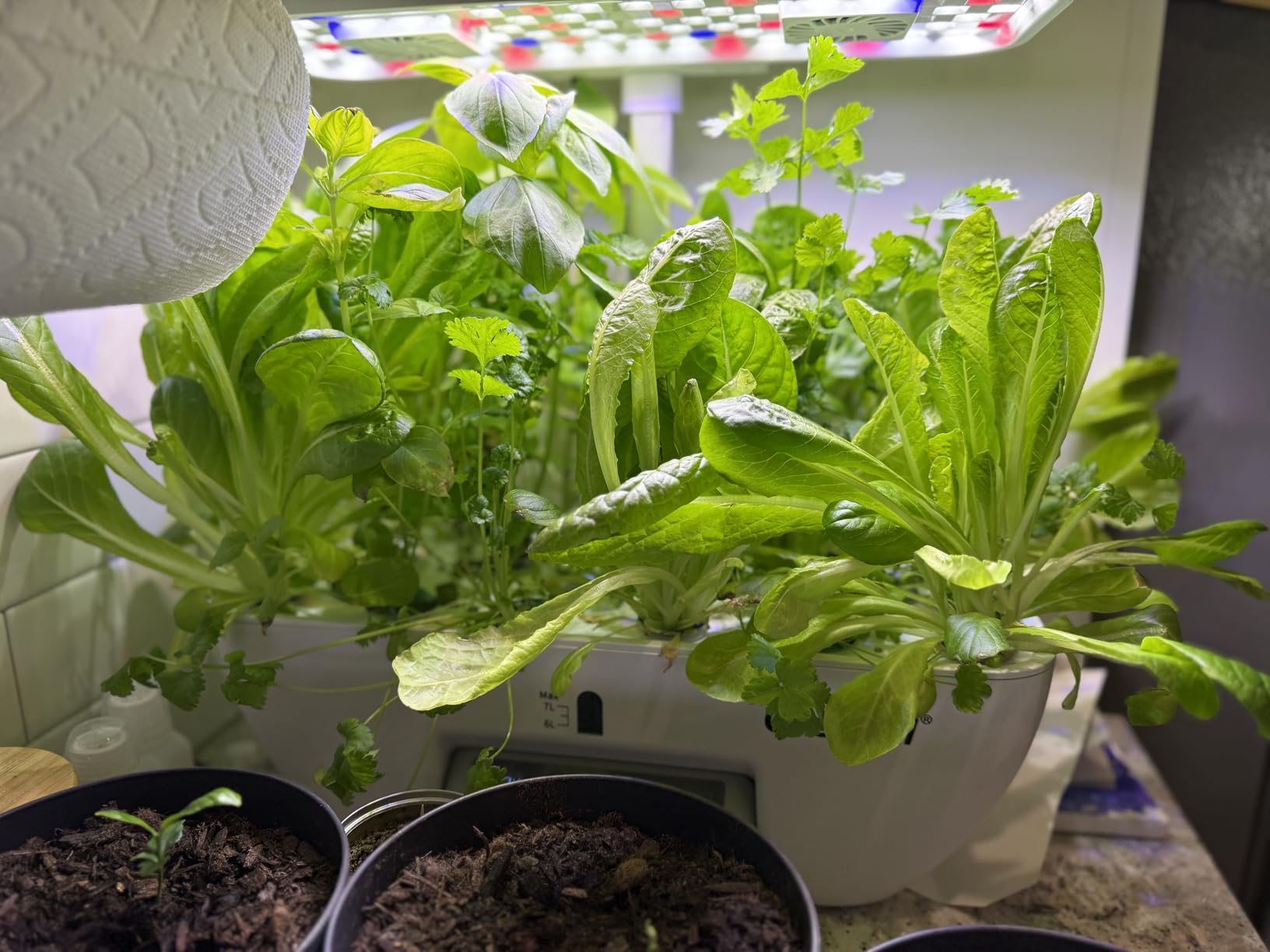 Growell Hydroponics Growing System Kit, 17 Pods Indoor Herb Garden with 2 Fans Circulation, Grow Light, Smart Water Cycle, Auto Timer, 10L Water Tank,Perfect Indoor Gardening System Gifts(Black/White) customer photo 1