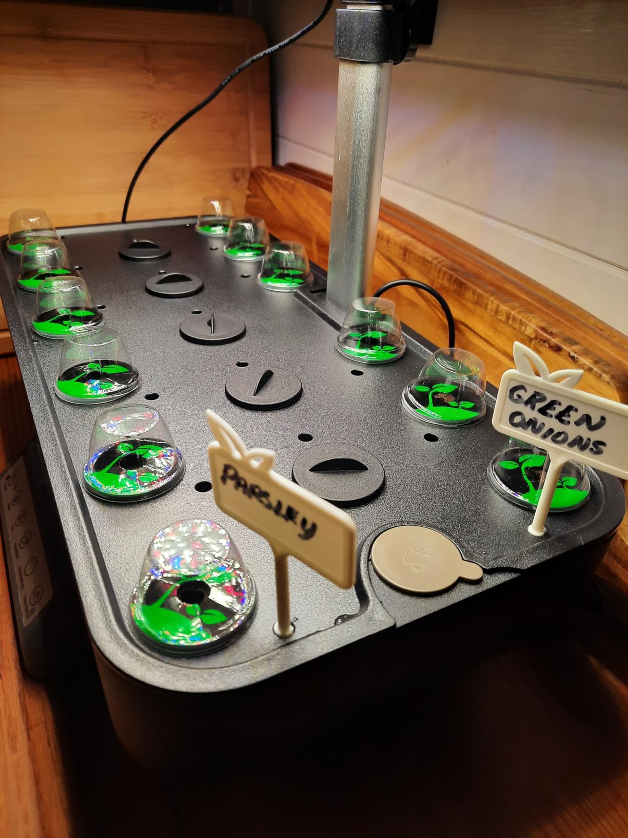 Growell Hydroponics Growing System Kit, 17 Pods Indoor Herb Garden with 2 Fans Circulation, Grow Light, Smart Water Cycle, Auto Timer, 10L Water Tank,Perfect Indoor Gardening System Gifts(Black/White) customer photo 2