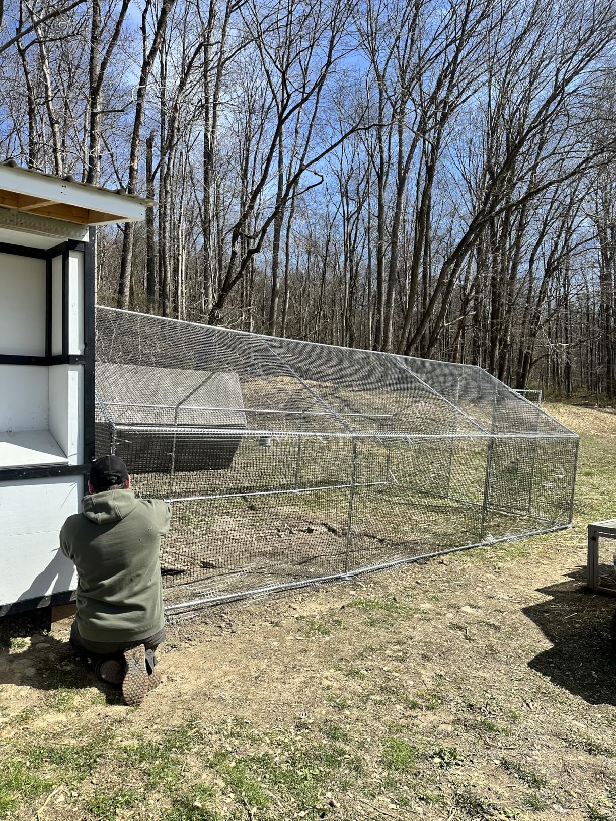 CAMMOO Metal Chicken Coop with Run, 13.1x9.8x6.6ft, Walk-in Chicken Run for Yard with Cover, Upgrade Double Lock & Rust-Proof Mesh, Stainless Steel Ties, Easy Assembly, Chicken Pen for Ducks, Rabbits customer photo 2