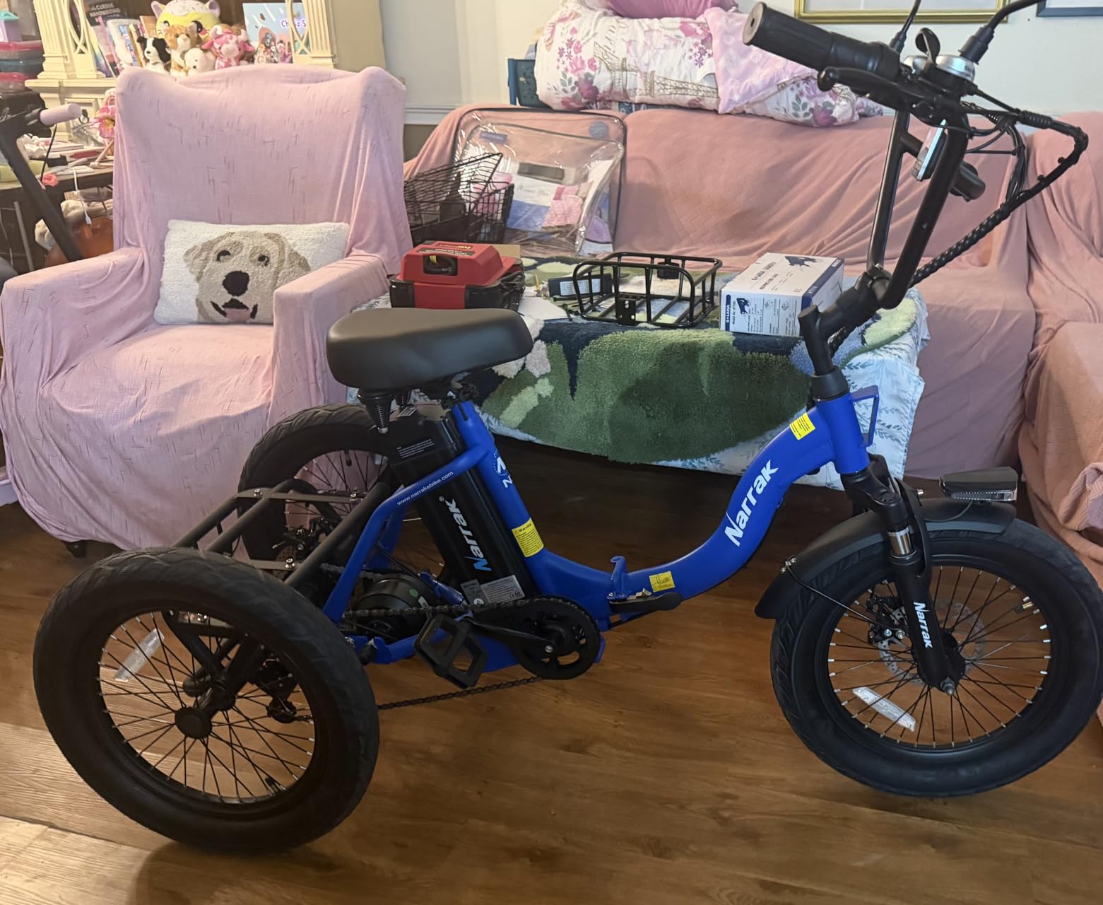 NARRAK Electric Tricycle for Adults,18