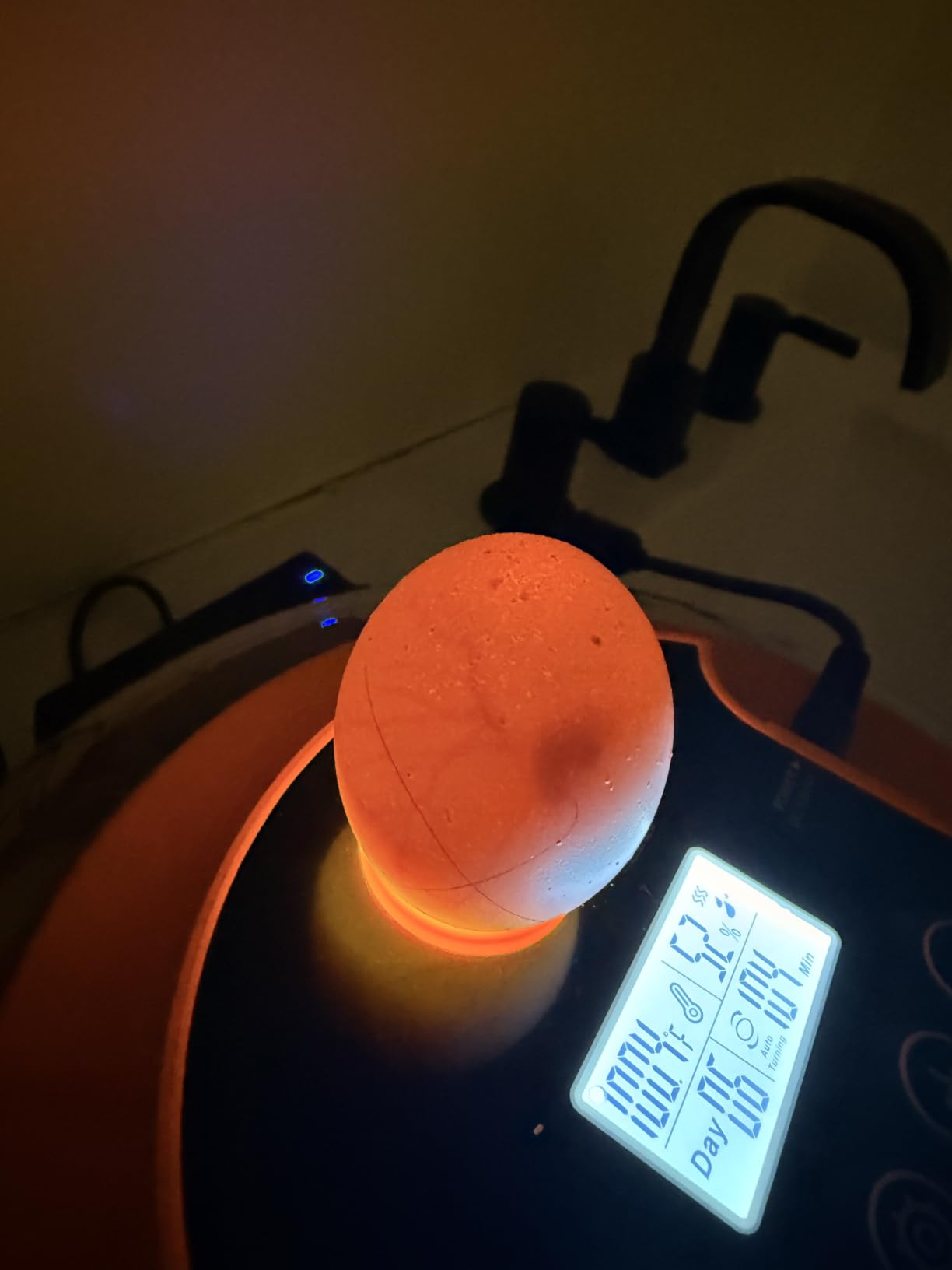 18 Egg Incubators for Hatching Eggs, Automatic Egg Turning and Humidity Control Incubator for Hatch Chicken Duck Quail Pigeon Pheasant Partridge customer photo 2