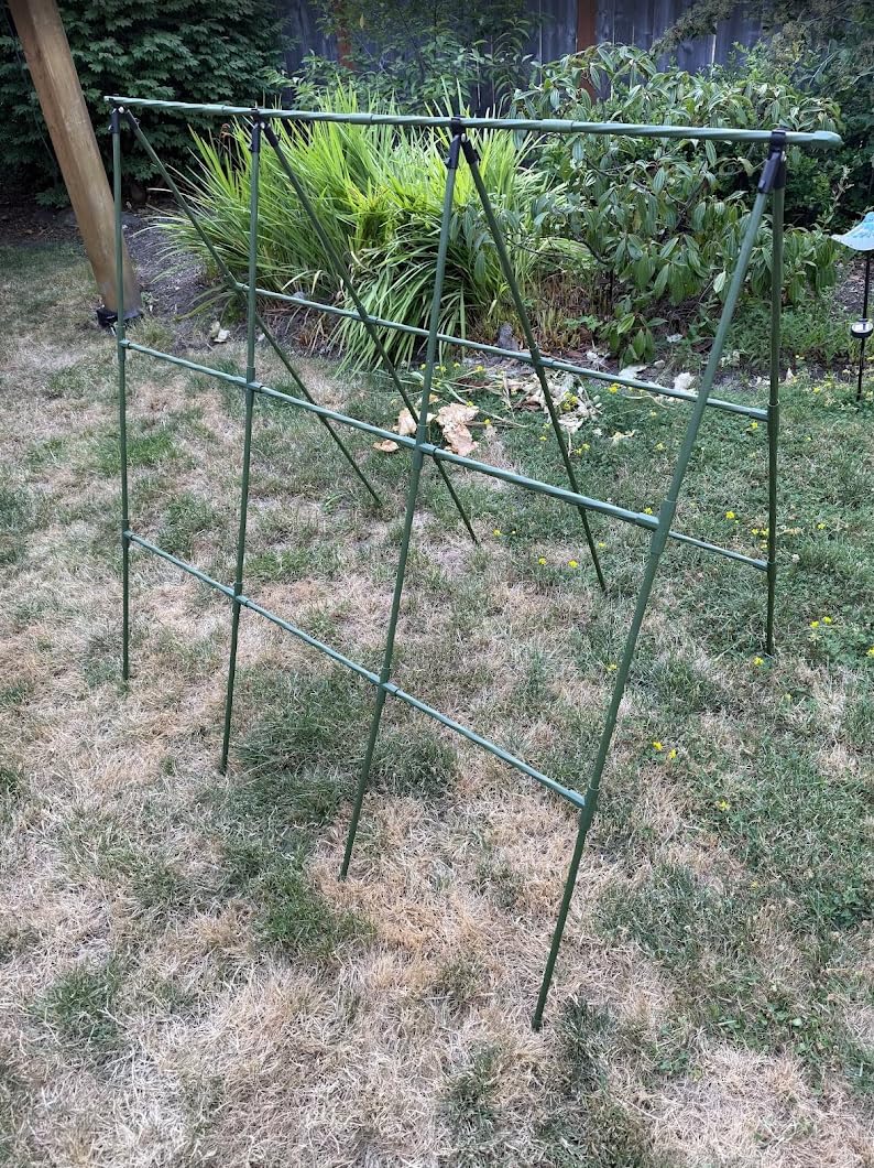 Cucumber Trellis - 49.4