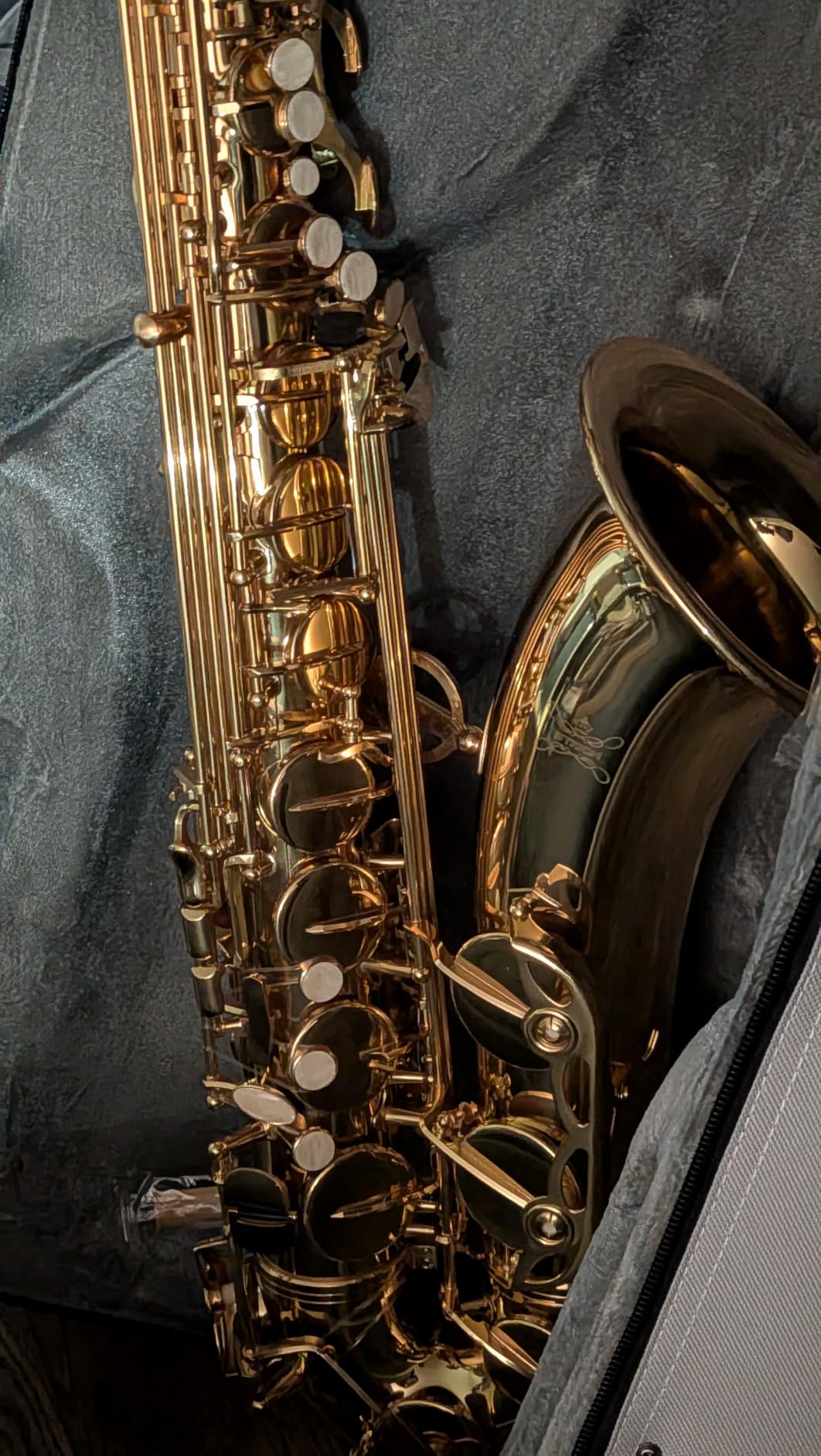 STRICH Eb Alto Saxophone Brass Student Beginner Alto Sax Kit with Hard Case Stand Neck Strap Mouthpiece and Reeds for School Band Home Practice, SAS-130G, Gold customer photo 1
