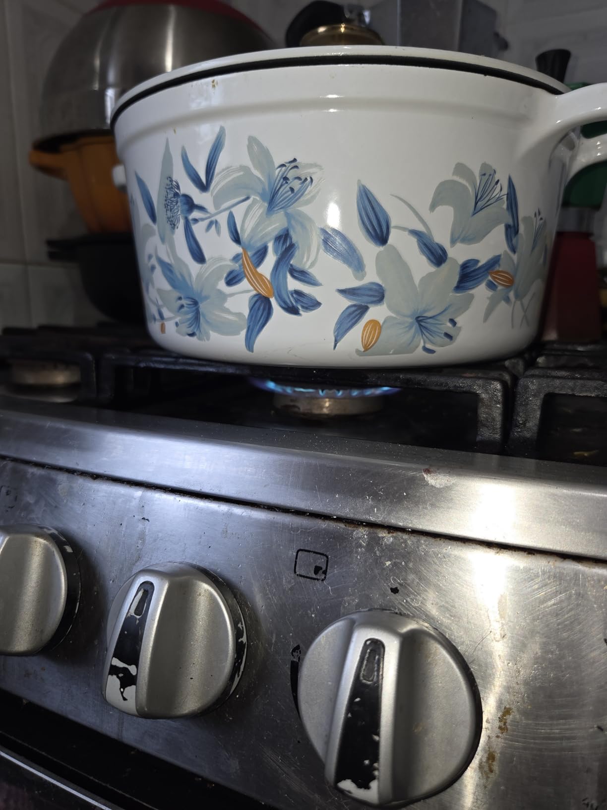 CAROTE 3.5QT Enameled Cast Iron Braiser Pan, Shallow Floral Dutch Oven Casserole Skillets, Non-Toxic Cast Iron Pot with Lid for Baking, Dual Handles, All Stovetop Compatible, White & Blue customer photo 2