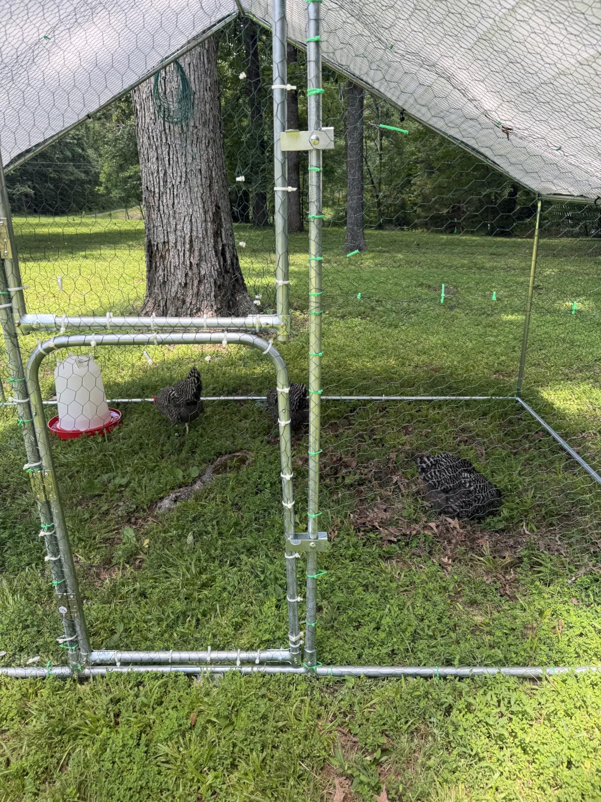 UDPATIO Large Metal Chicken Coop Walk in Run House Pen Galvanized Frame | Double Feed Door UV-Resistant Cover Outdoor Cage for Bird Duck Rabbit Hen 6-10 Silver M customer photo 2