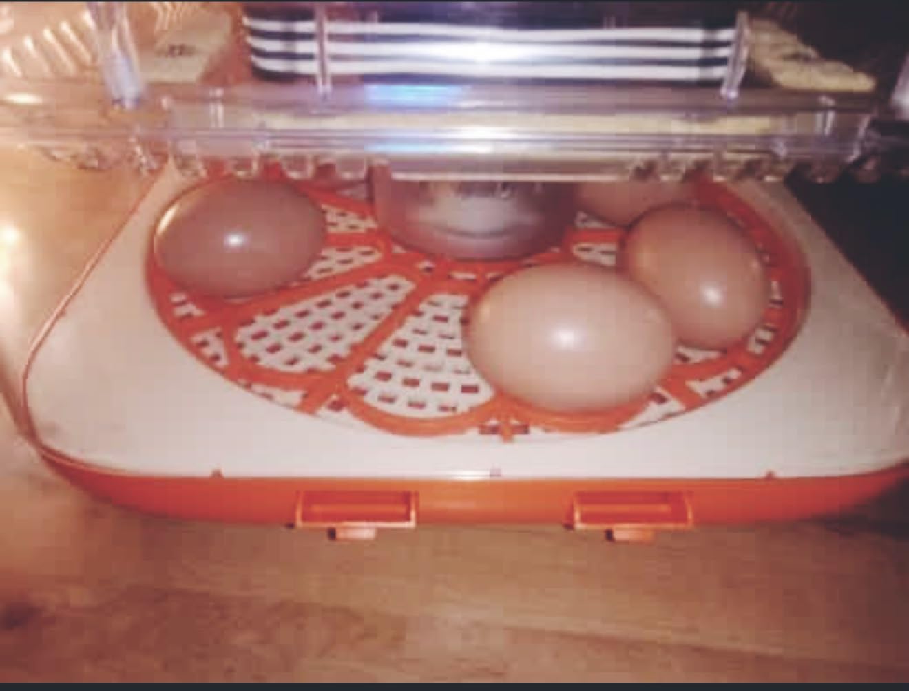 Incubators for Hatching Eggs Automatic Egg Incubator with Temperature Control Humidity Display 12 Egg Capacity for Chicken Duck Goose Eggs Digital Display Auto Turner 360° View customer photo 1