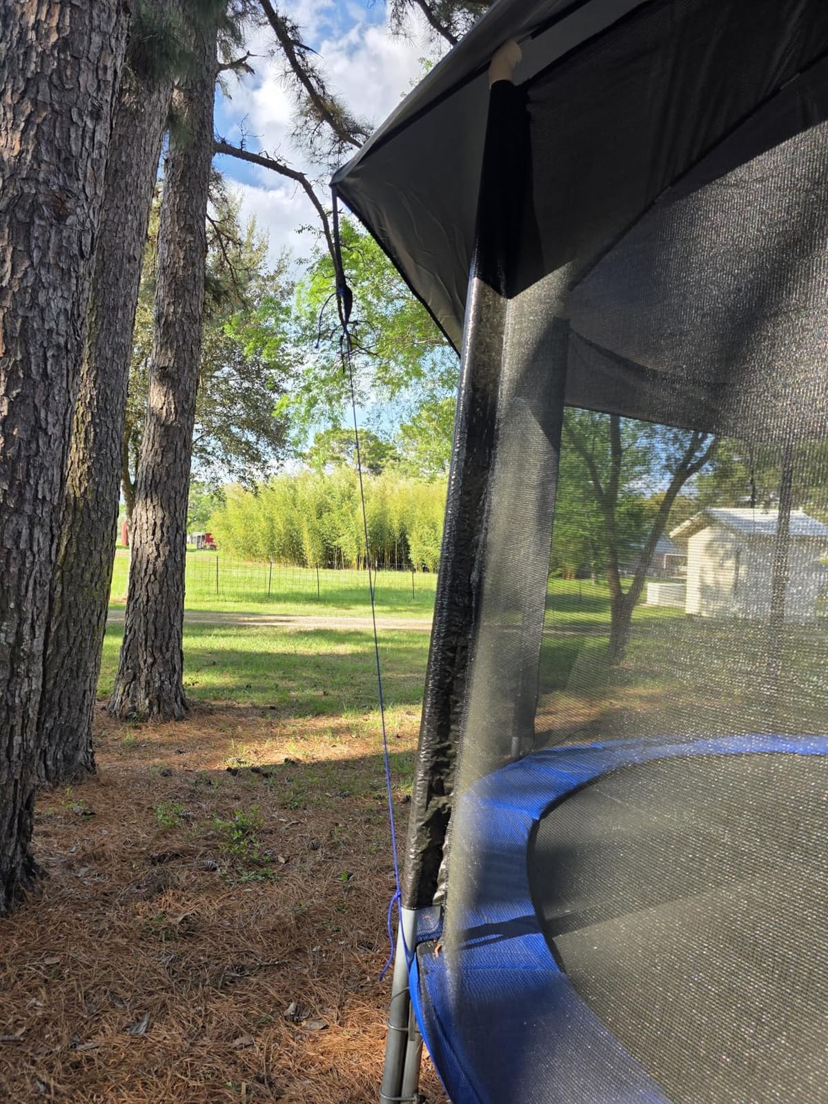 10FT 12FT 14FT 15FT 16FT Dome Trampoline Canopy Cover for Backyard Trampolines, 600D Heavy-Duty Waterproof Fabric with Taped Seams, Curved Roof Design Prevents Water Pooling customer photo 1