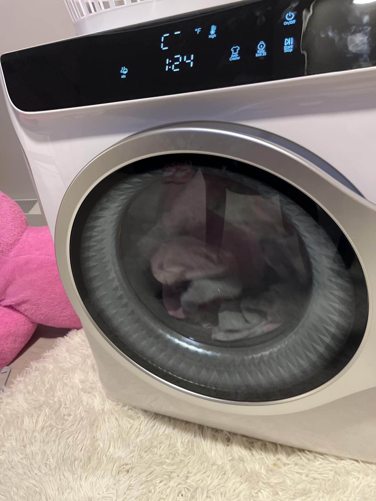 Auertech 3.6 CU. FT Clothes Dryer, Large Capacity Laundry Dryer with 12 Drying Modes & Stainless Steel Tub, Dryer Machine, Electric Dryer with LED Control for Busy Family Home, White customer photo 1