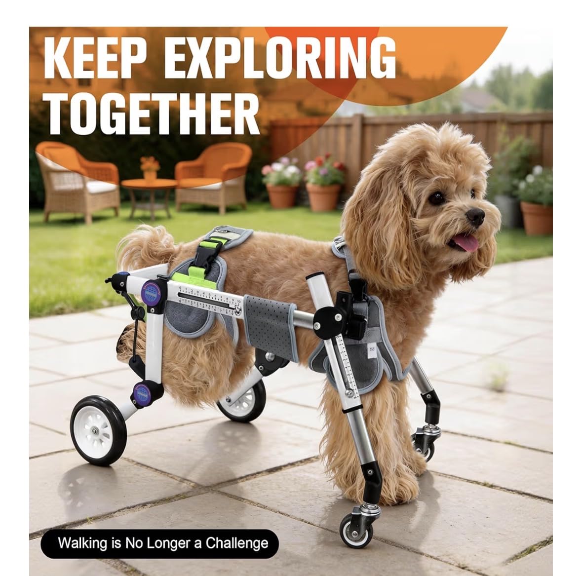 Adjustable Dog Wheelchair 4 Wheels, Full Body Mobility Cart | Pet Mobility Aid for Front & Rear Leg Support, Lightweight Dog Cart for Dogs Walking customer photo 2
