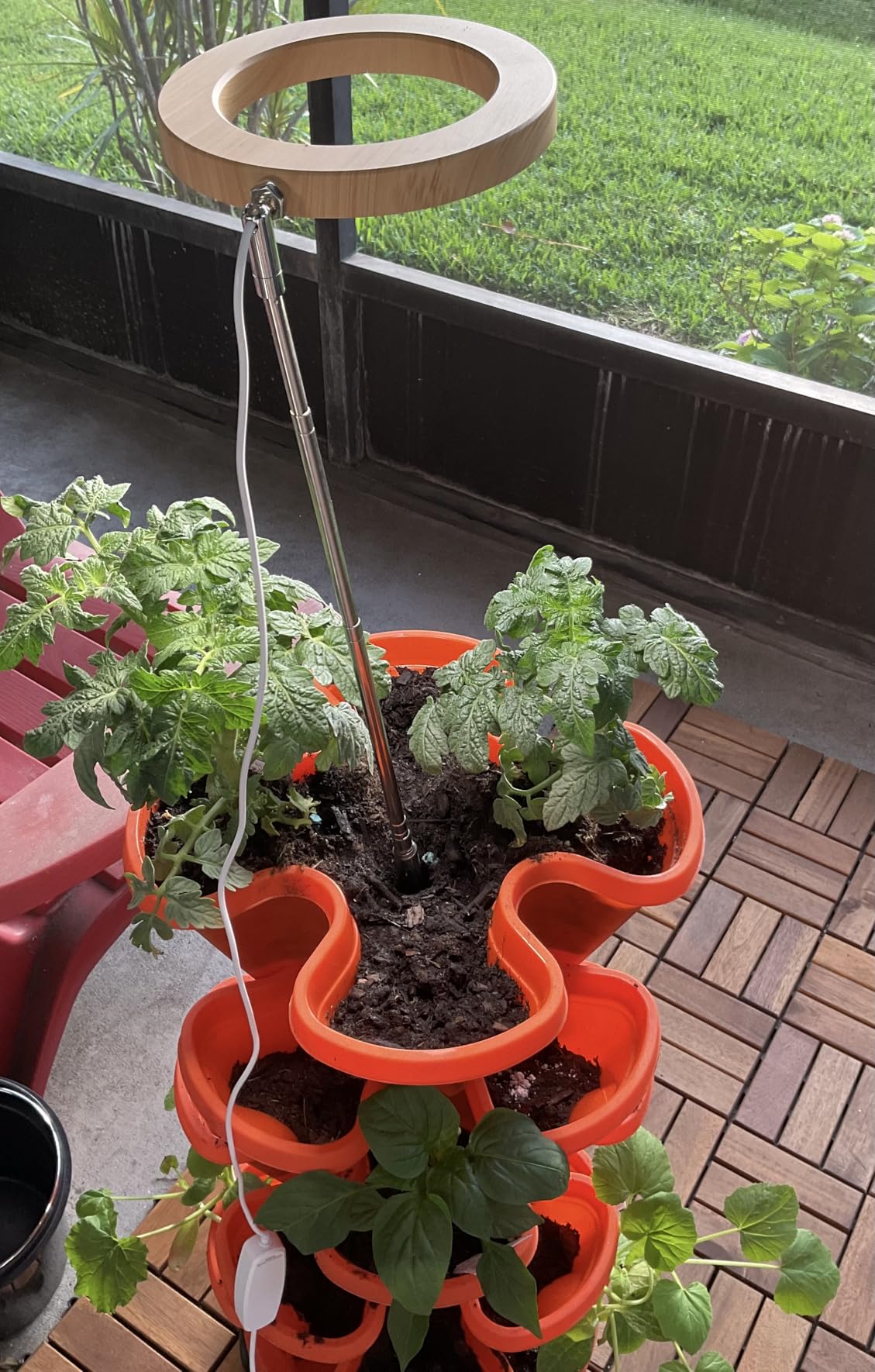 Grow Lights for Indoor Plants, 6.3