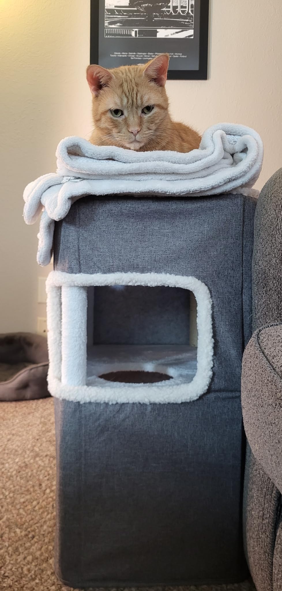 YITAHOME 94 Inch Outdoor Cat Enclosure | Large Outdoor Cat House for Multiple Cats customer photo 2