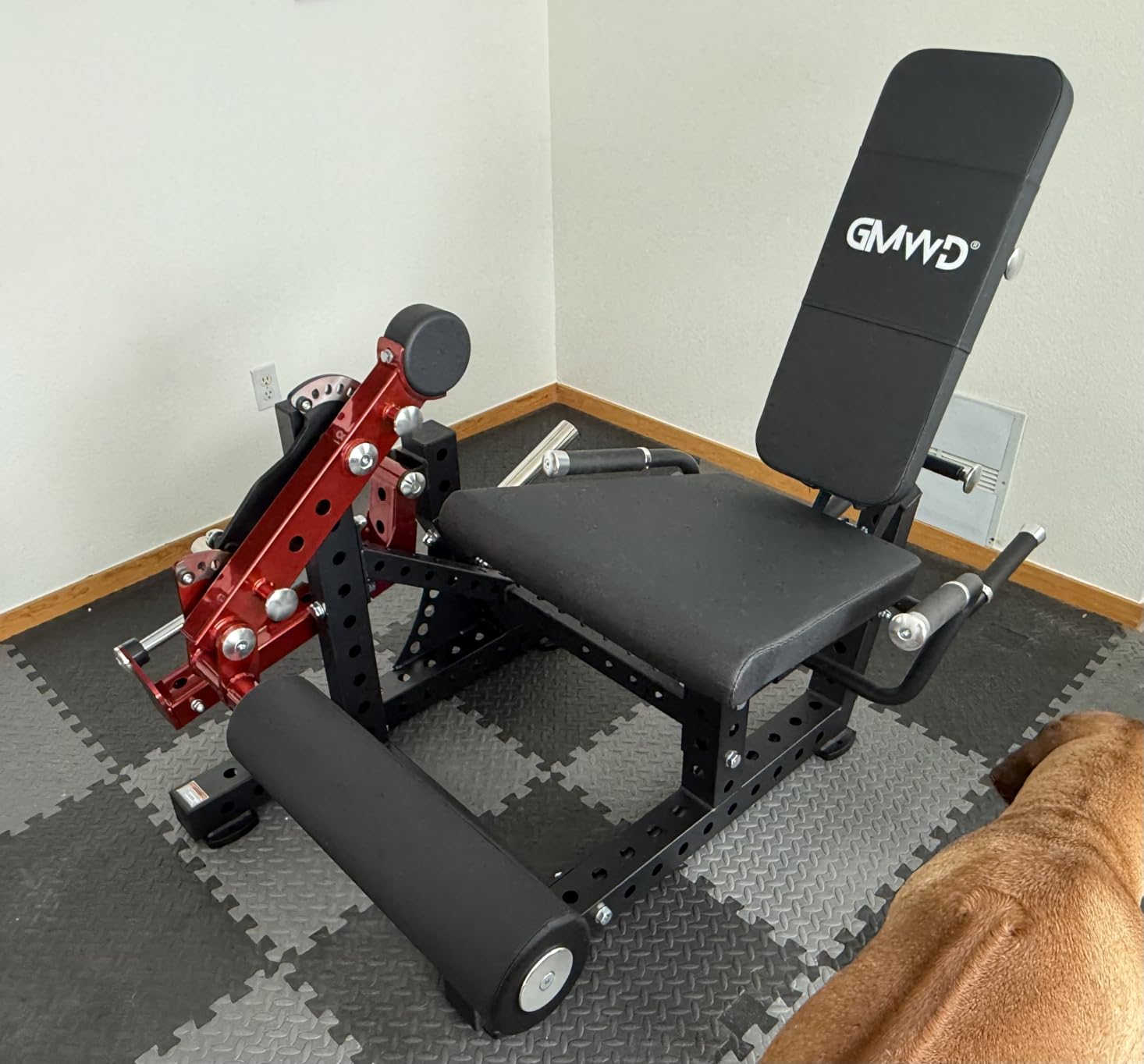 GMWD Leg Extension and Curl Machine LE08 2.0, Adjustable Leg Curl Machine with Plate Loaded, Seated Leg Extension and Lying Curl Machine for Home Gym, Leg Workout Equipment customer photo 1