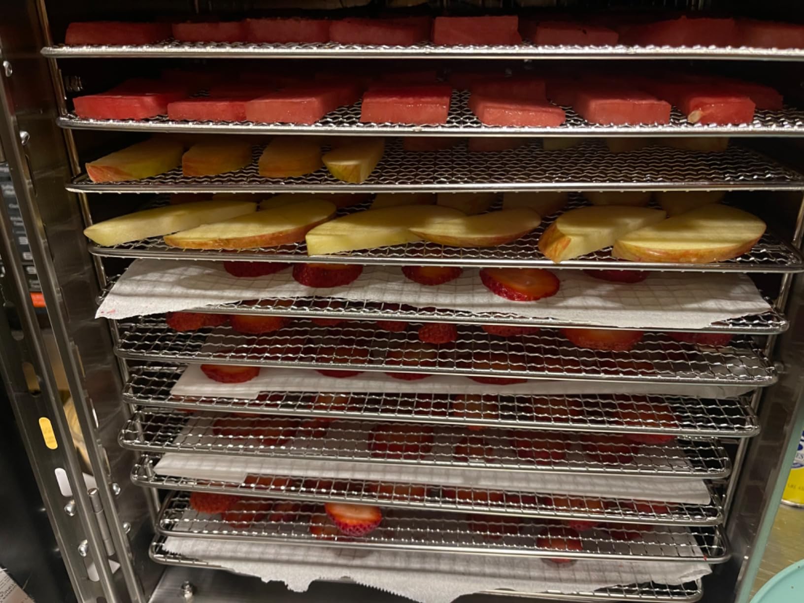 Commercial Large 12 Trays Food Dehydrator Machine, 11.6ft² 1100W | Stainless Steel, 86-194°F, 48H Timer, 5 Presets, 360° Airflow, Quiet Food Dryer for Jerky, Meat, Fruit, Veggies, Beef, Herbs customer photo 2