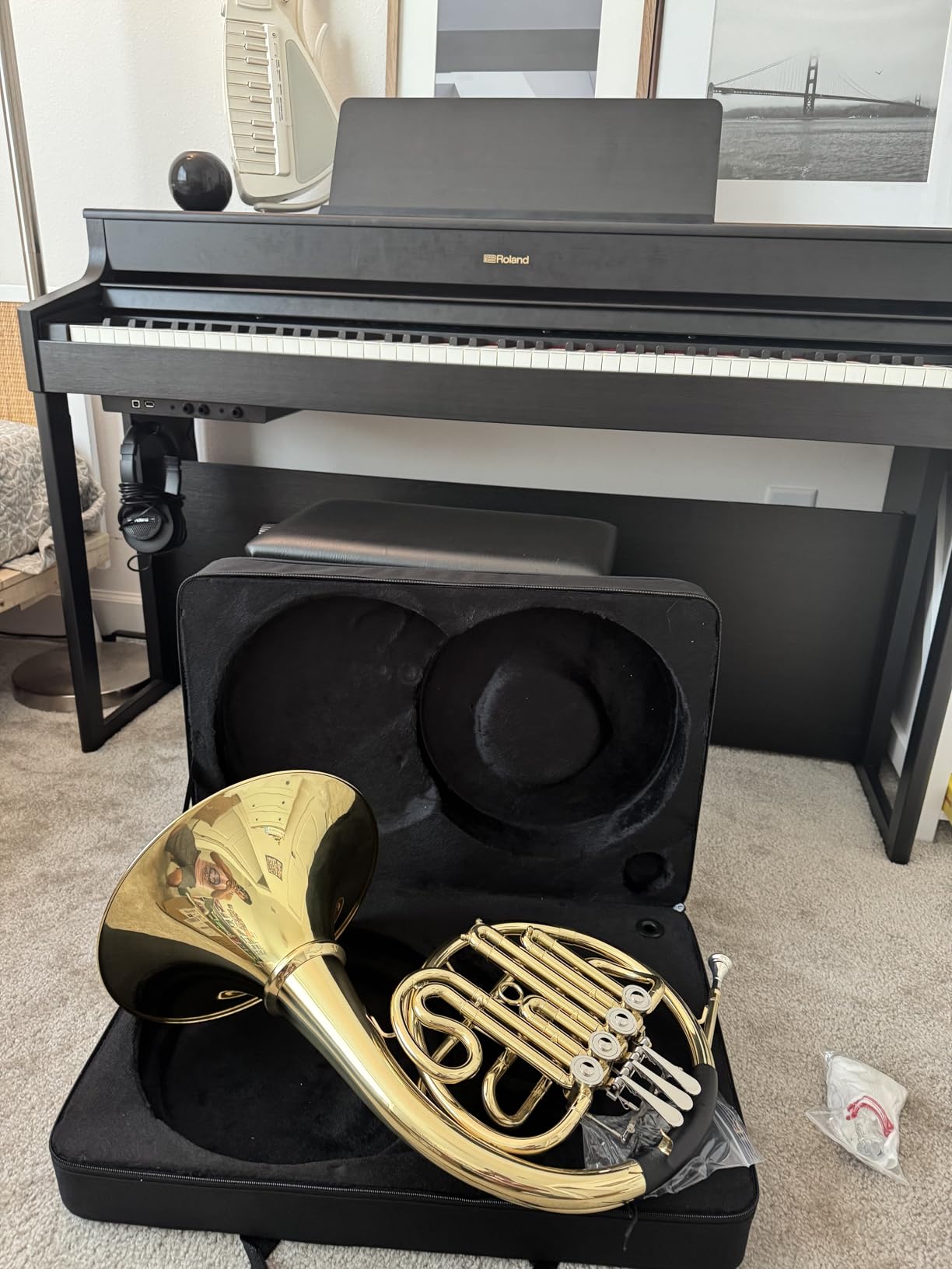 Double French Horn F/Bb Key, Professional 4-Valve Nickel-Plated & Gold Lacquer Brass customer photo 1