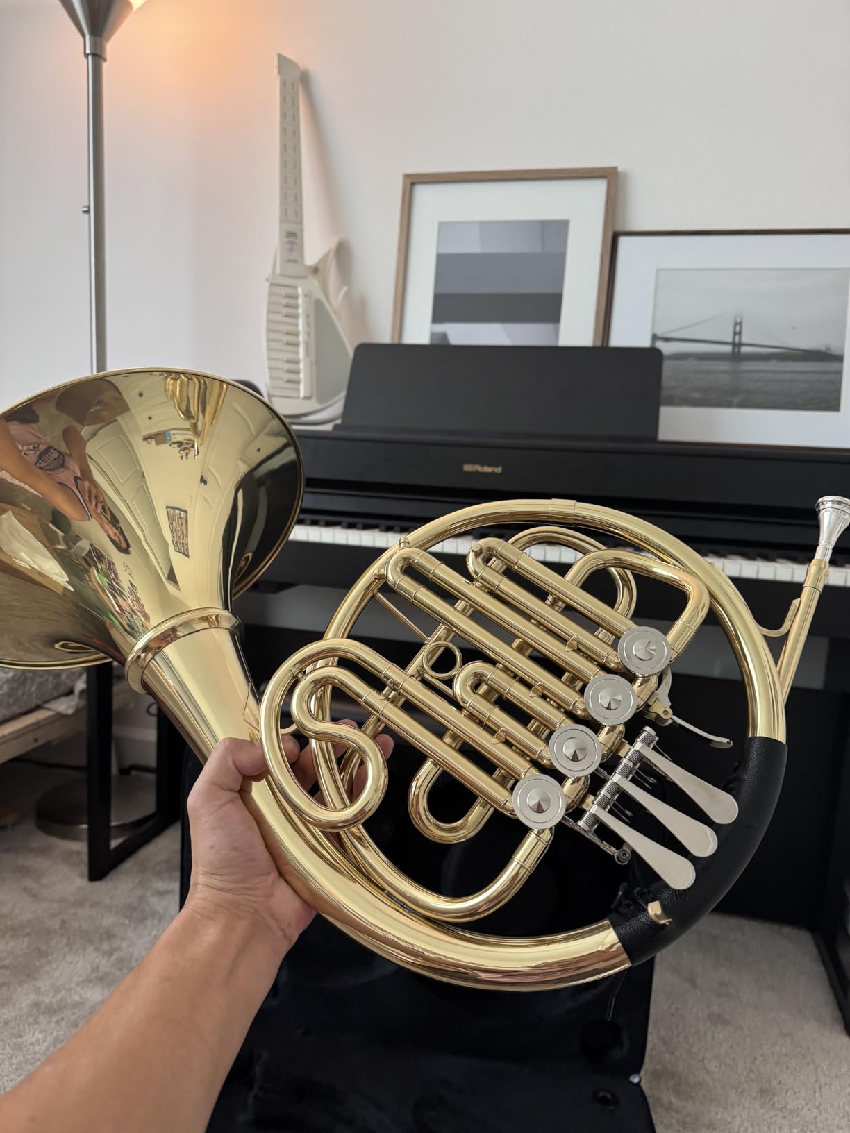 Double French Horn F/Bb Key, Professional 4-Valve Nickel-Plated & Gold Lacquer Brass customer photo 2
