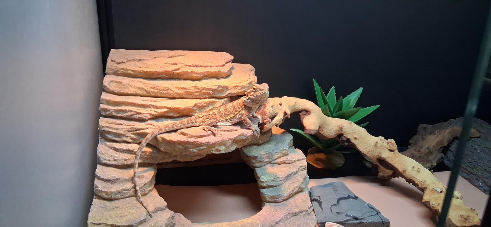 120 Gallon Reptile Tank, 4x2x2 Reptile Enclosure for Bearded Dragon, Snake, Ball Python & Chameleon, Aluminum Alloy Reptile Terrariums Cage with Front Sliding Tempered Glass Doors customer photo 1