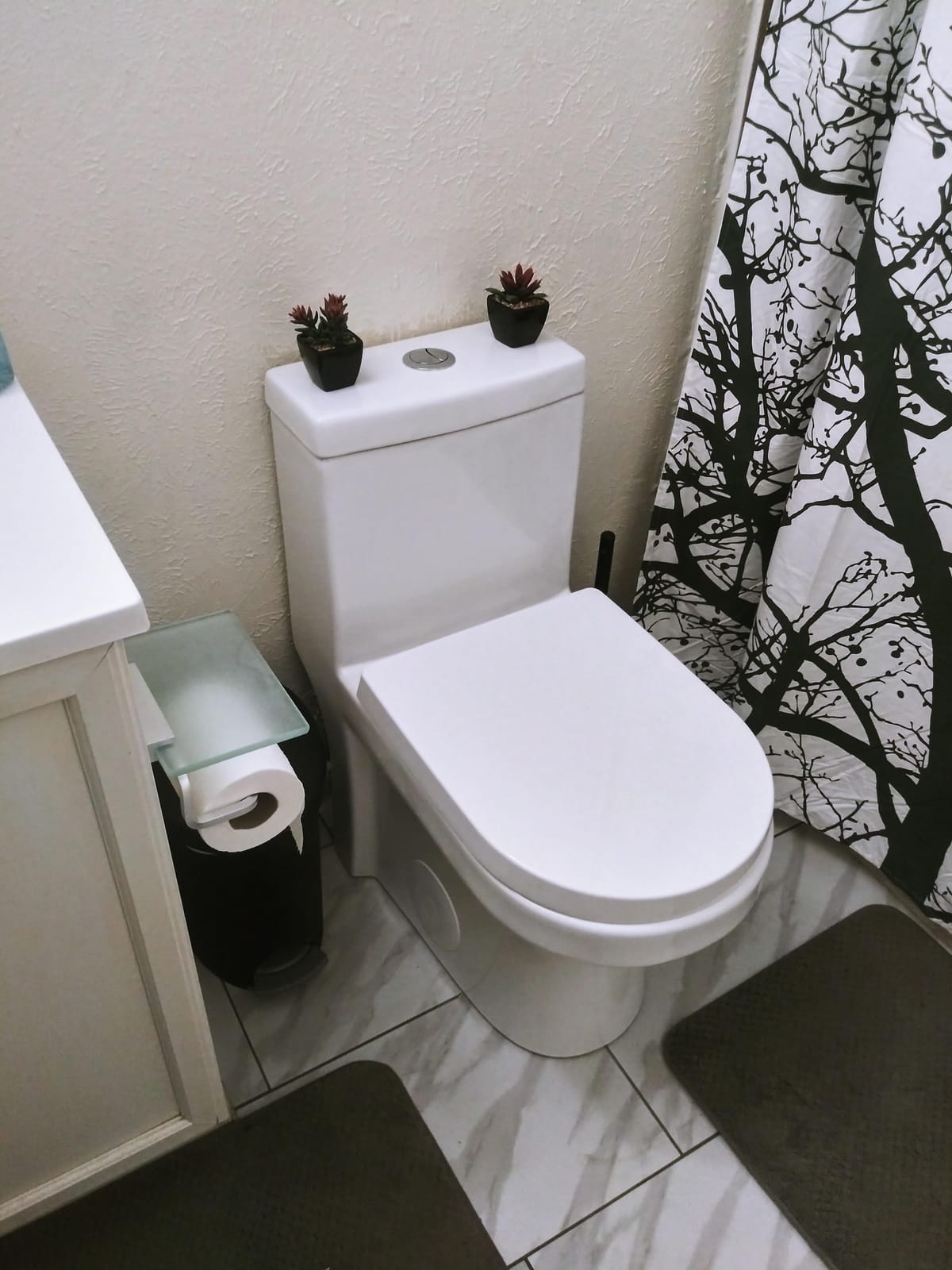 DeerValley Compact One Piece Toilet Standard Seat Height for Small Bathroom Dual Flush 1.1/1.6 GPF Powerful and Quiet 12'' Rough-In Skirted Toilet customer photo 1