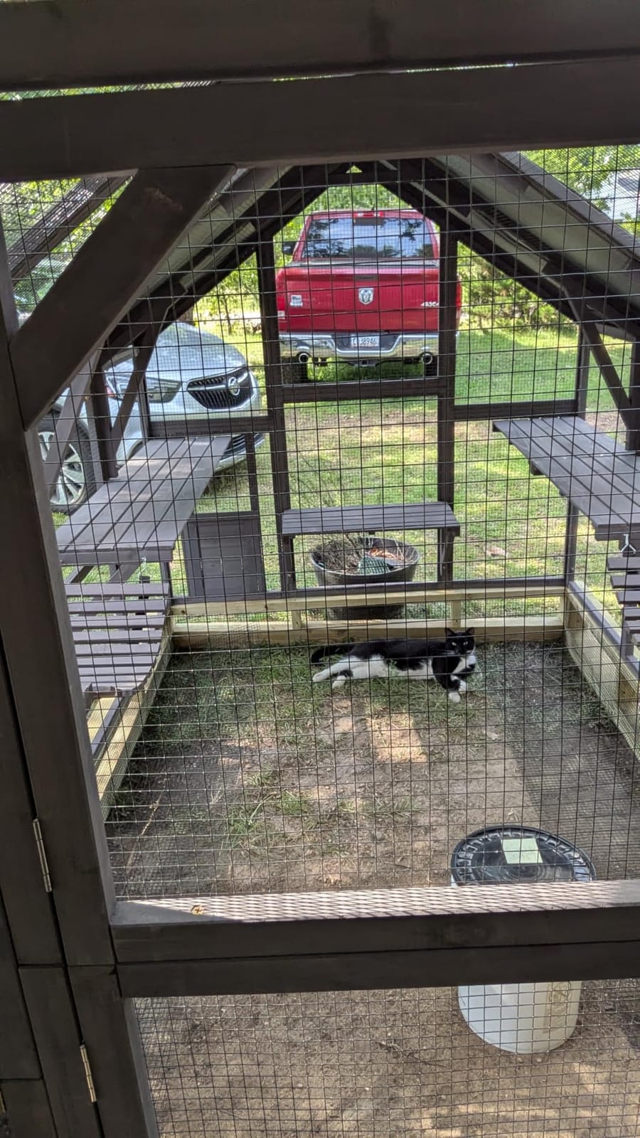 Aivituvin Window Catio Outdoor Cat Enclosure Super Large Walk in Cat House with 6 Platforms and 2 Scratching Posts for Cats, 104