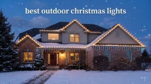 best outdoor christmas lights