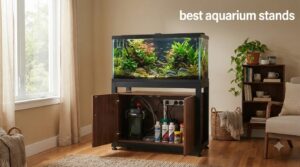 best aquarium stands