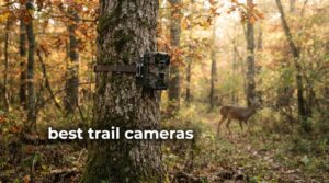 best trail cameras