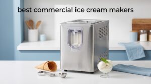best commercial ice cream makers