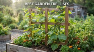 best garden trellises