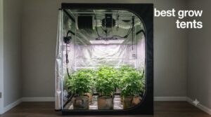 best grow tents