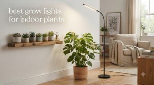 best grow lights for indoor plants