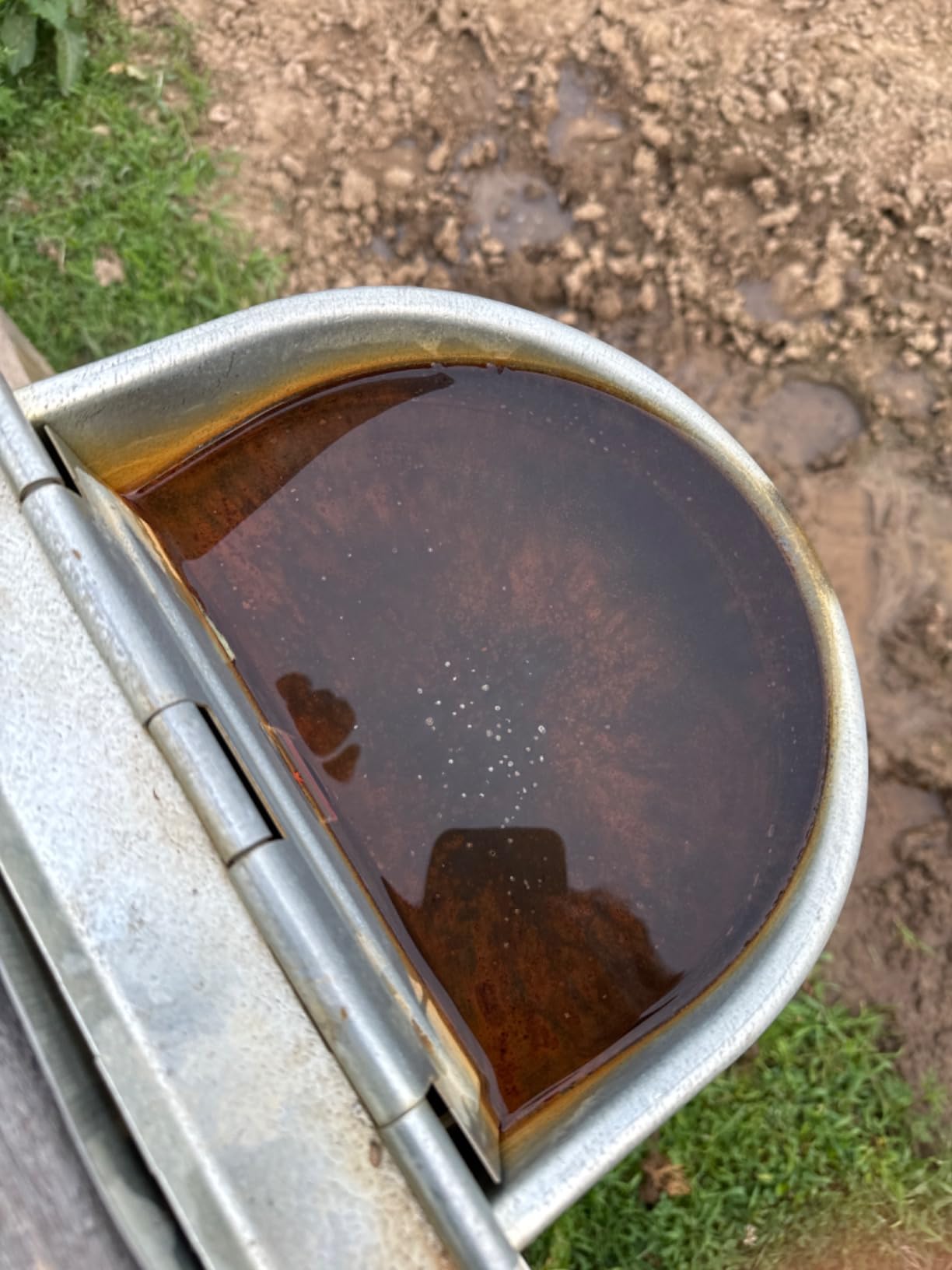 Little Giant Automatic Livestock Waterer | Epoxy Coated Automatic Stock Waterer for Horses, Cows and Hog customer photo 2