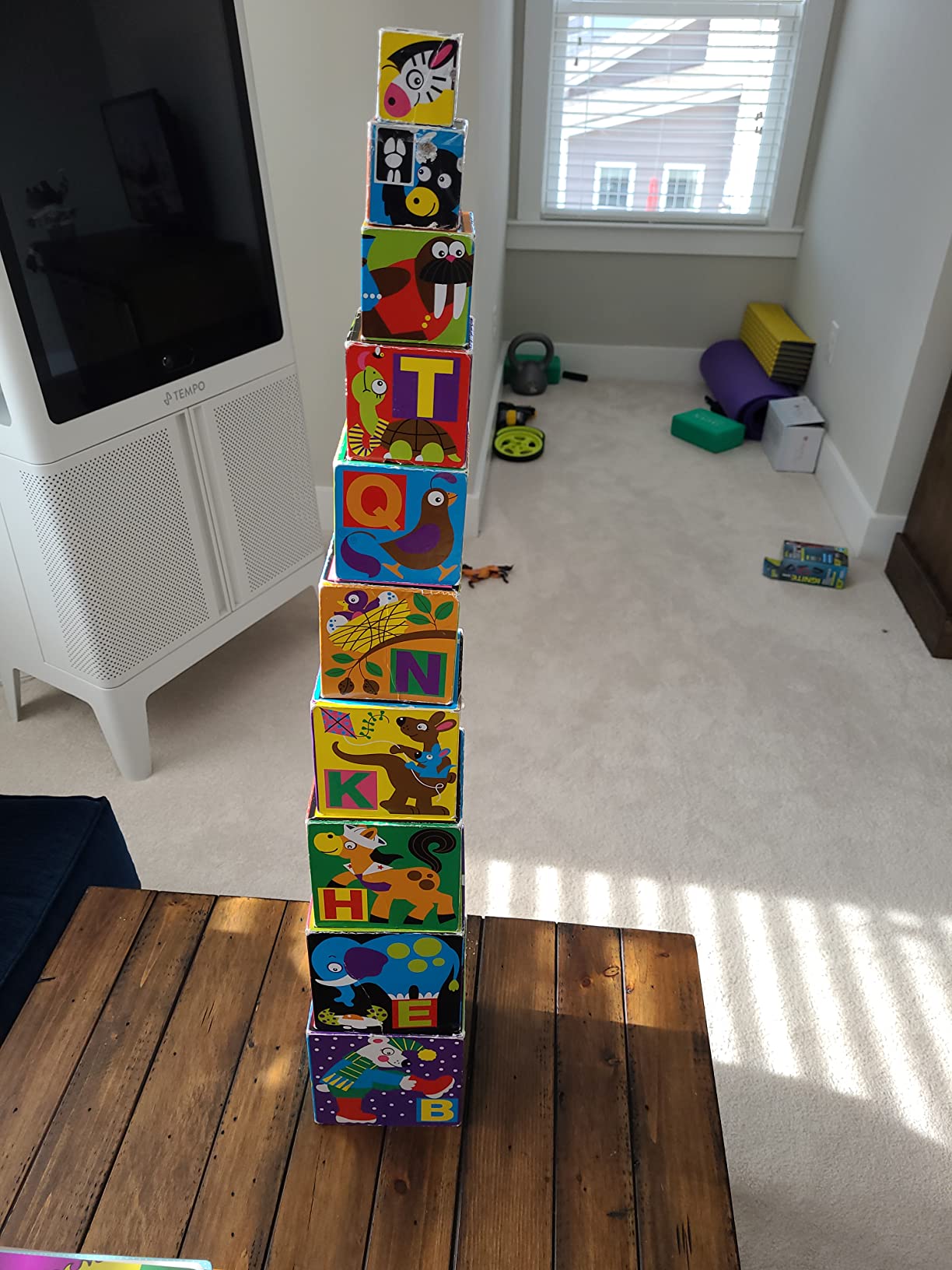 Melissa & Doug Deluxe 10-Piece Alphabet Nesting and Stacking Blocks - FSC Certified customer photo 2