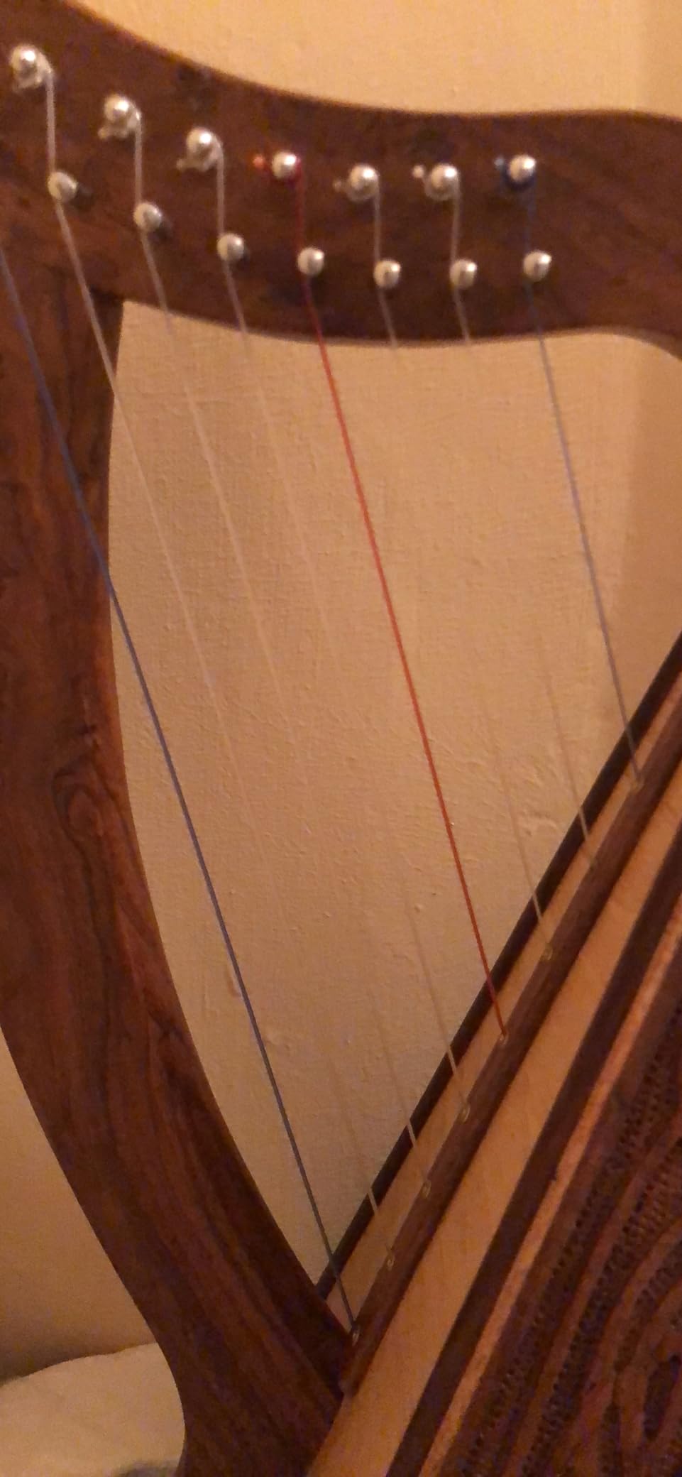 Roosebeck Lily Harp, 8 Strings, Knotwork customer photo 1