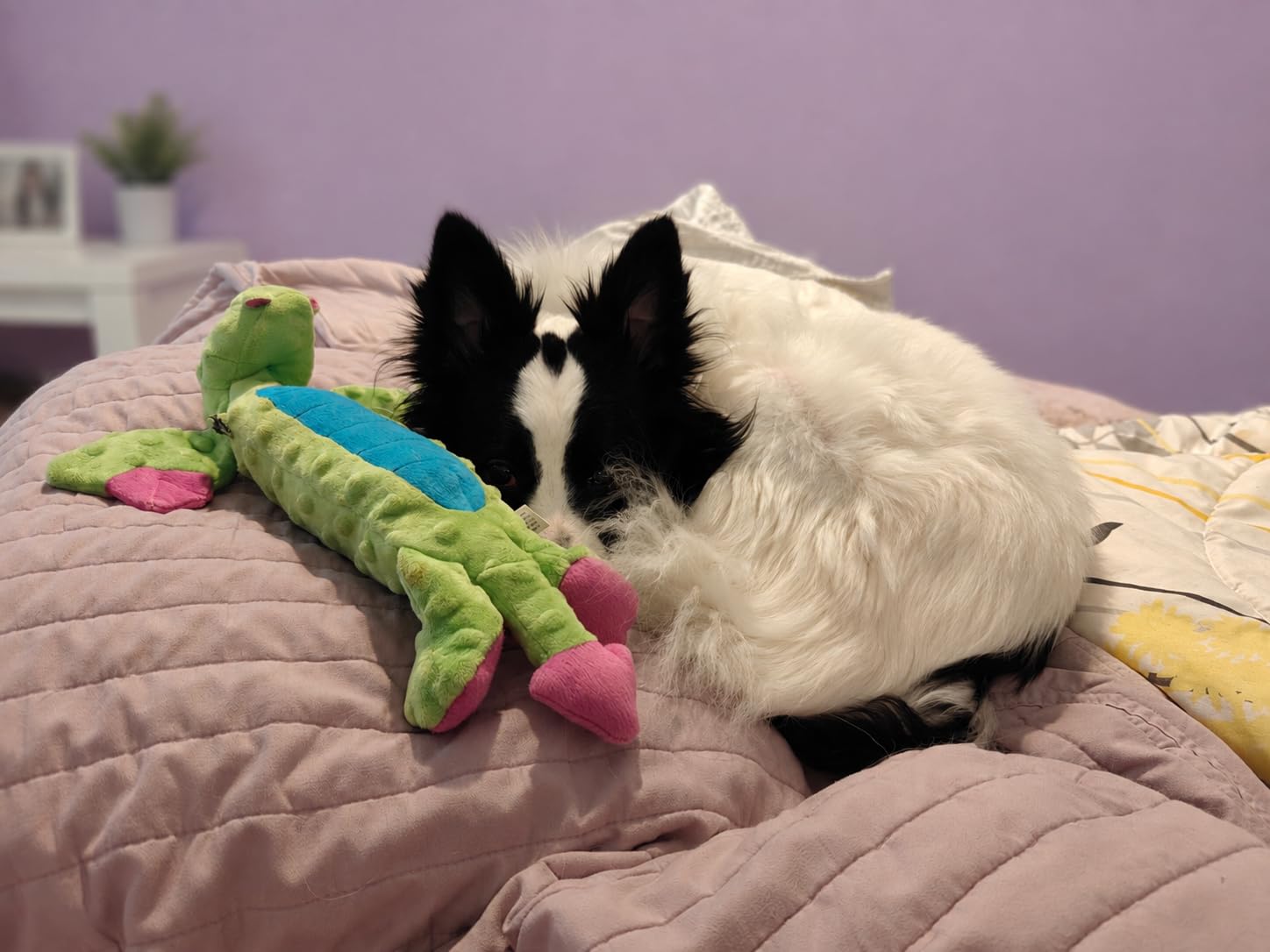 goDog Bubble Plush Dragons Squeaky Dog Toy, Chew Guard Technology - Coral, Large customer photo 1