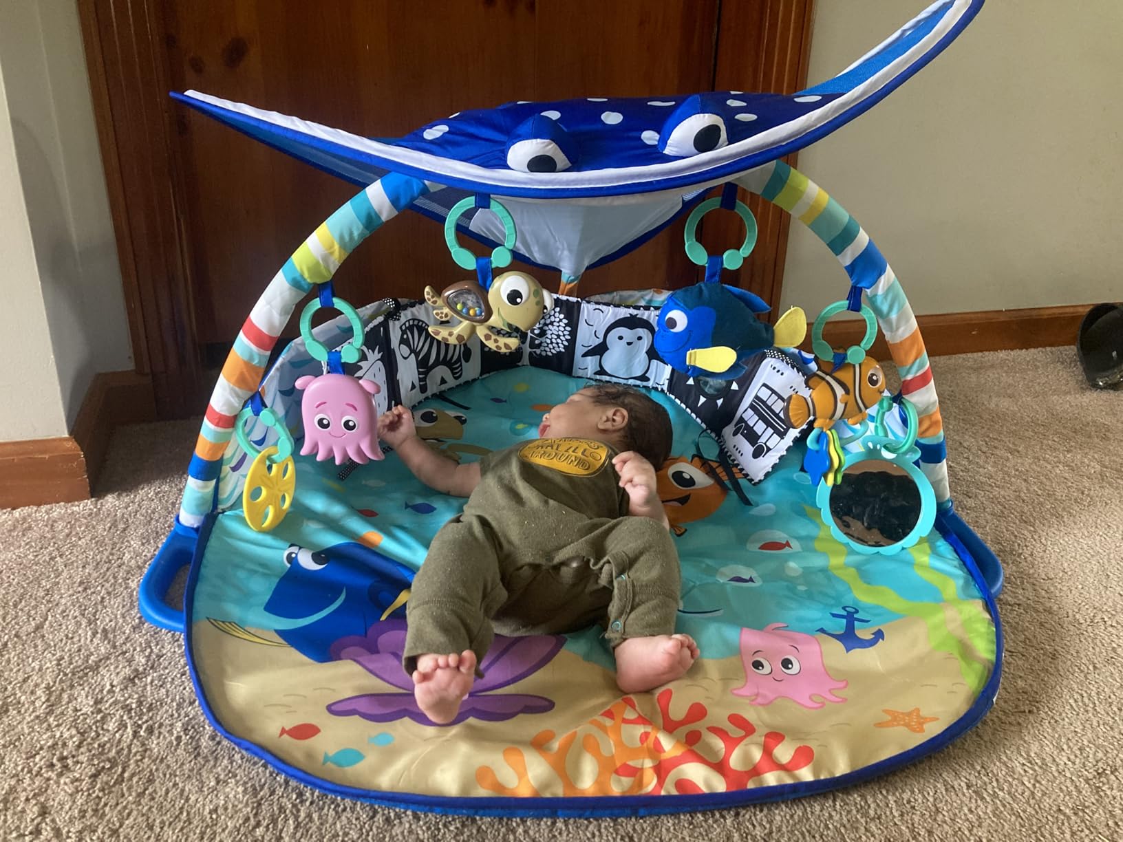 Bright Starts Disney Baby Finding Nemo Mr. Ray Ocean Lights & Music Gym, Ages Newborn + customer photo 2