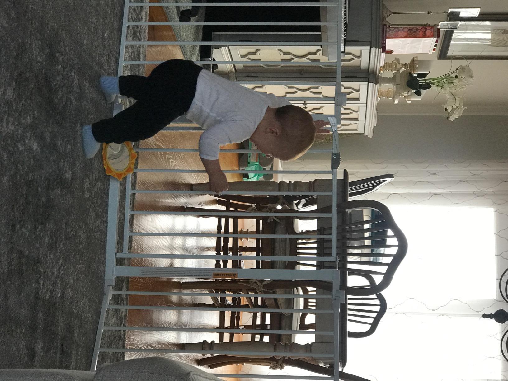 Regalo Safety 24-192 inch Metal 2-in-1 Super Wide Baby Gate & Play Yard, White customer photo 1