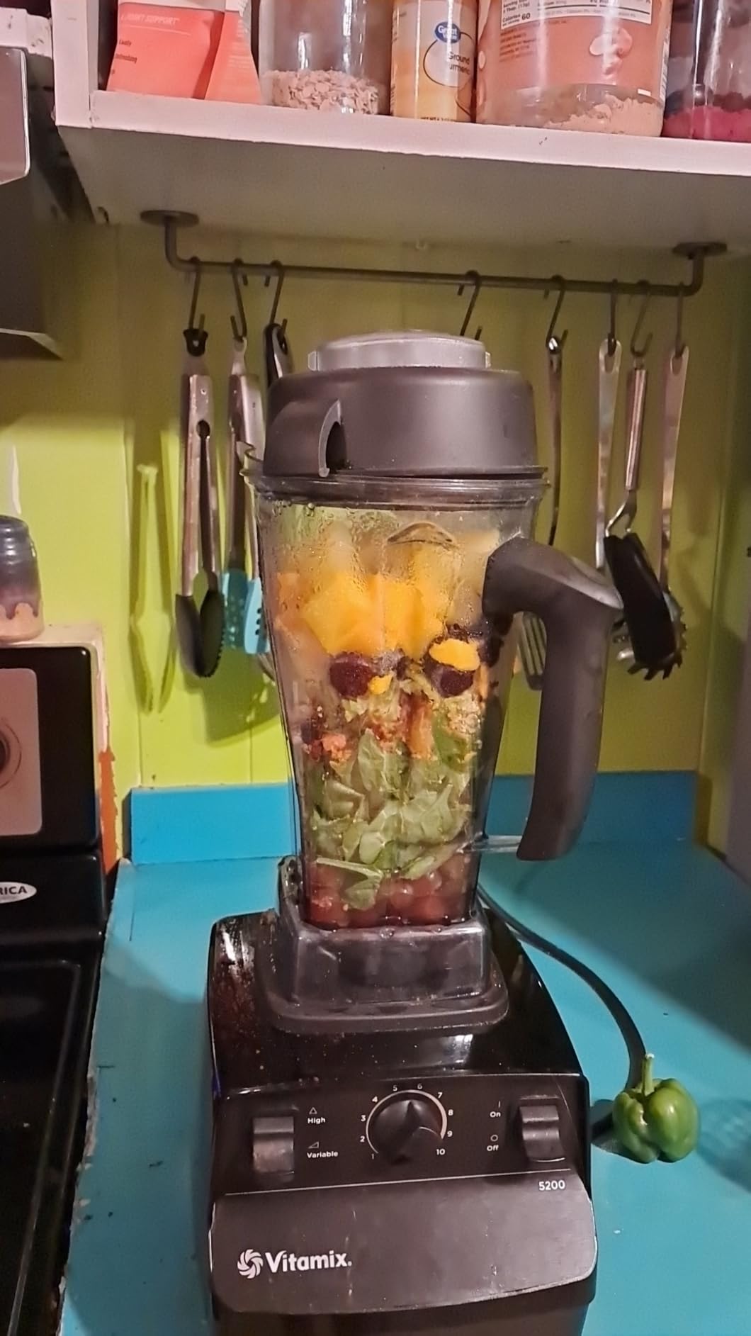 Vitamix 5200 Professional-Grade Blender, 64 oz. Container, White customer photo 2
