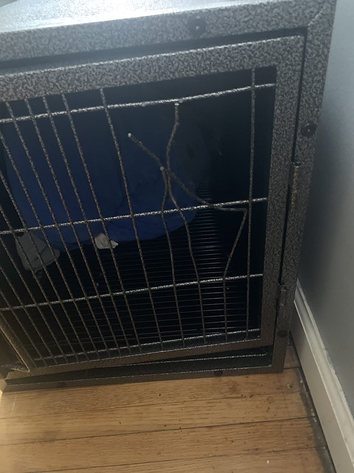 ProSelect Small Modular Kennel Cage, Graphite customer photo 1