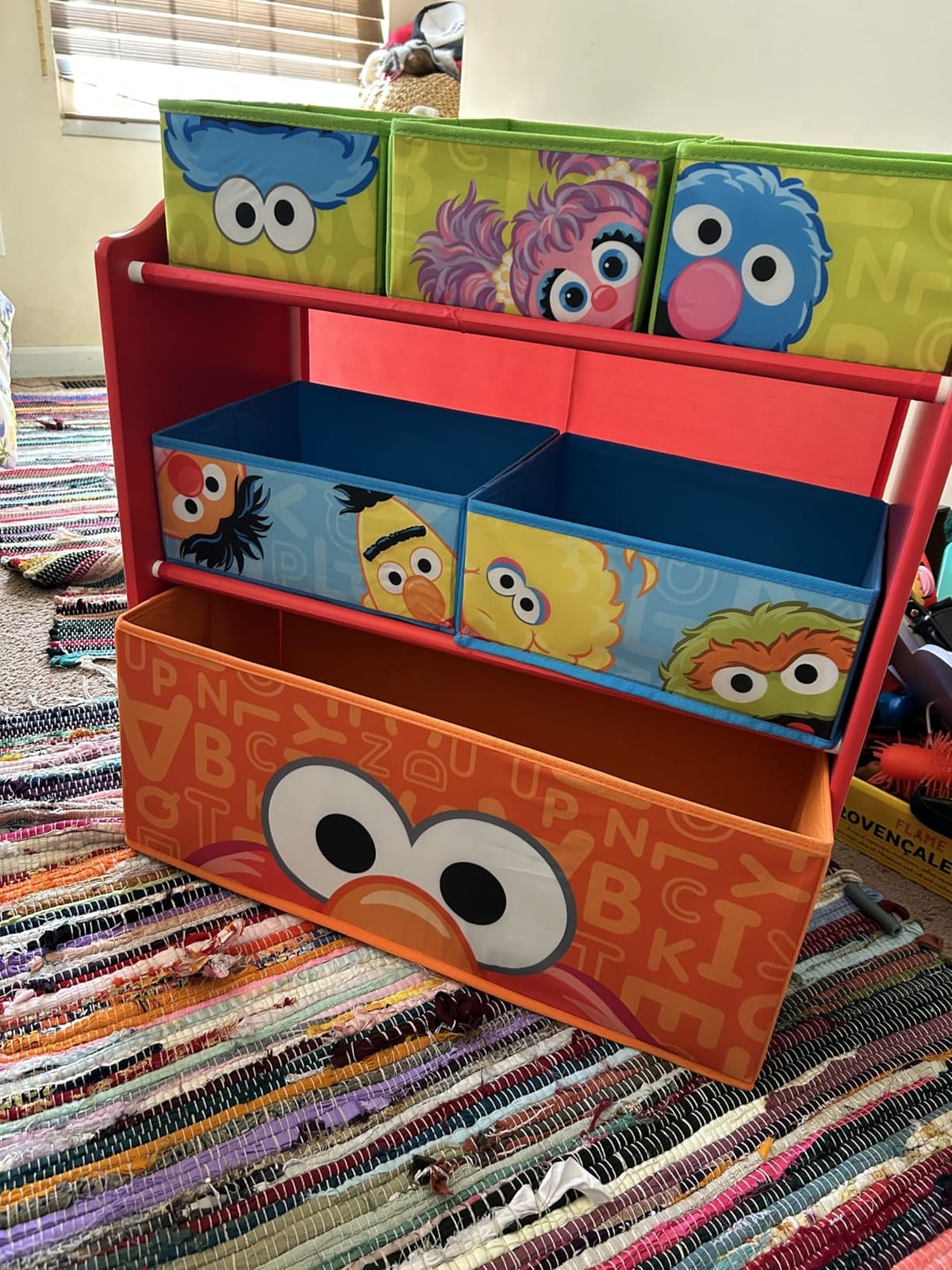 Sesame Street 6 Bin Design and Store Toy Organizer by Delta Children customer photo 1