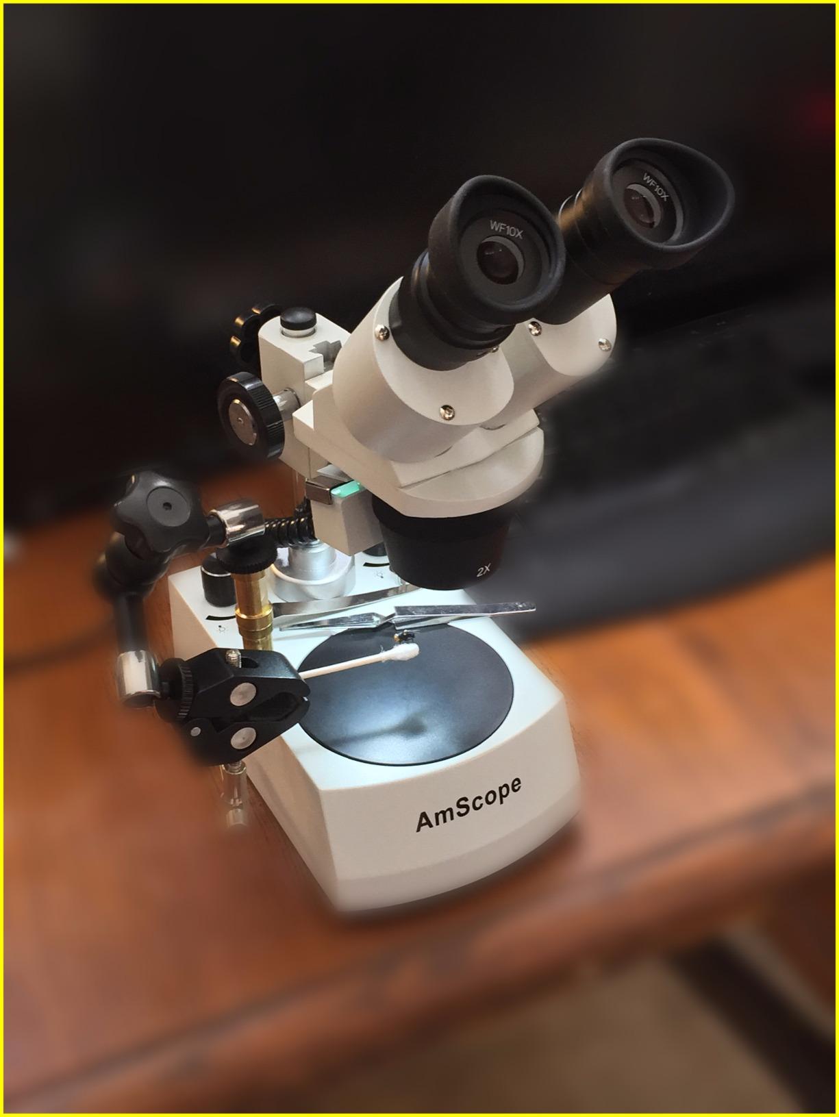AmScope SE306R-P-LED Cordless LED Stereo Microscope, 20x-40x customer photo 1