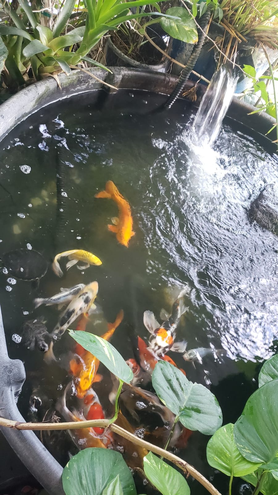 300 GAL STOCK TANK BLK customer photo 2