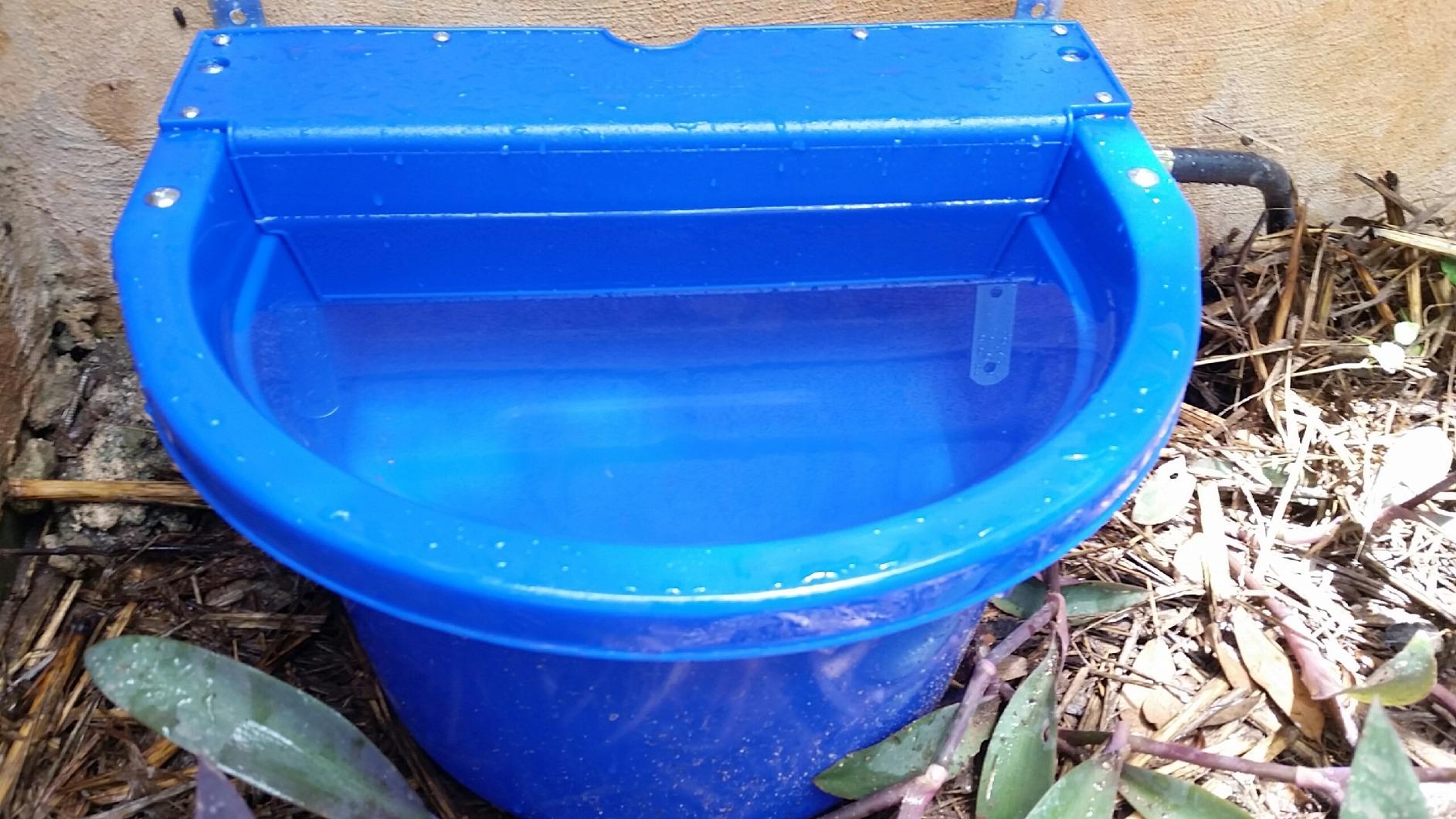 Little Giant Automatic Animal Waterer | DuraMate Float Controlled Automatic Waterer for Livestock | Heavy Duty and Durable | Made in USA | 4 Gallon (Blue) customer photo 2