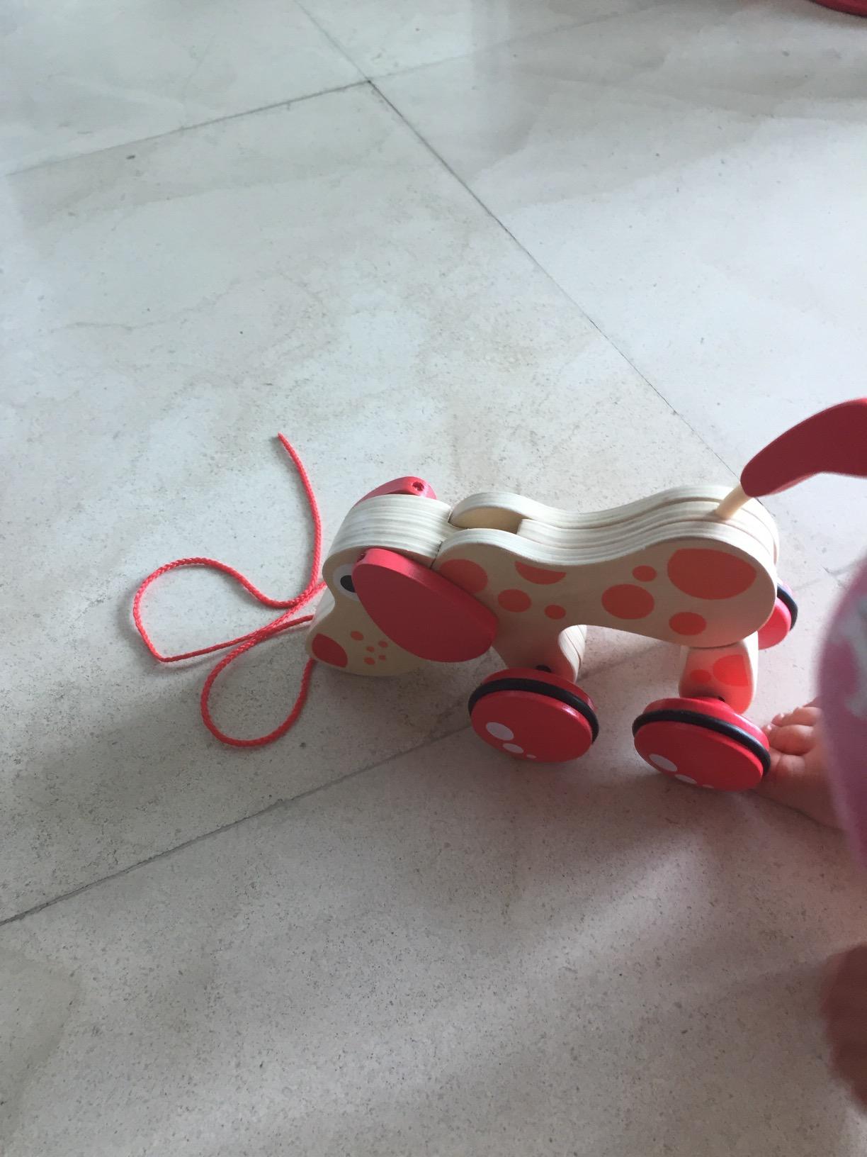 Hape Walk-A-Long Puppy Wooden Pull Toy customer photo 2