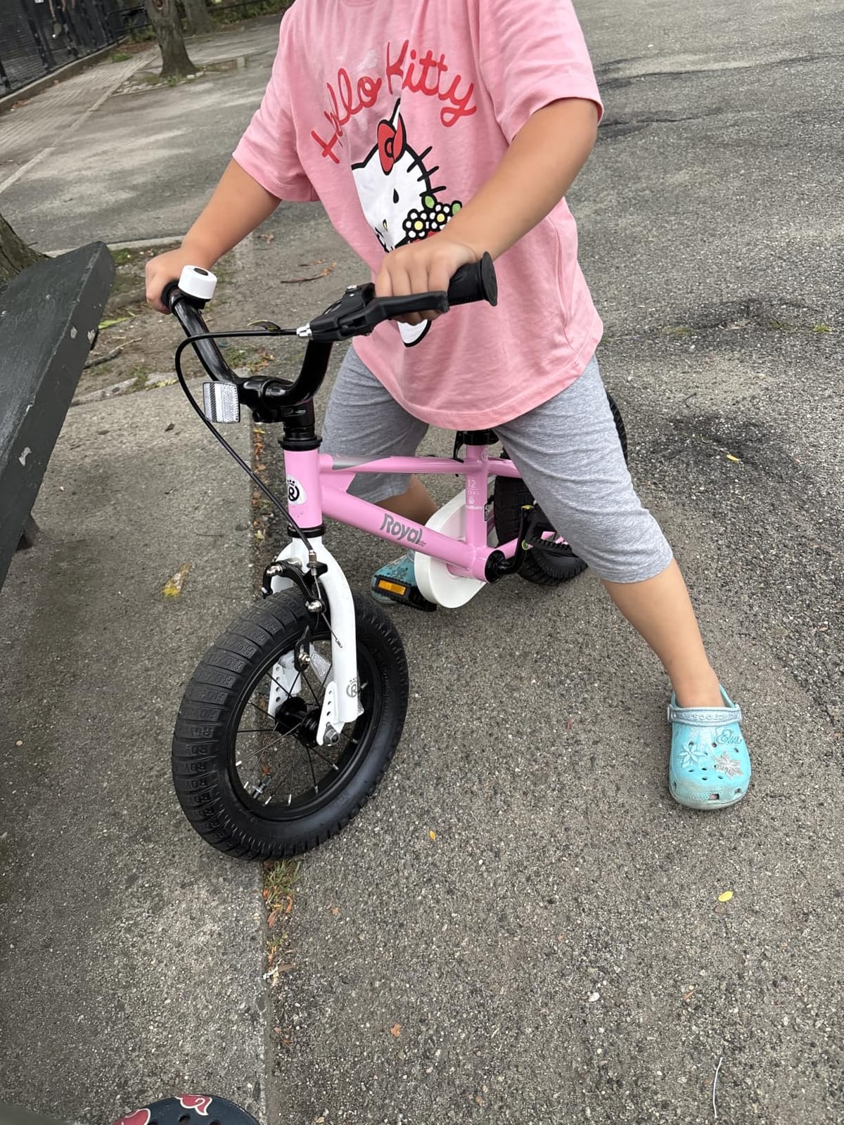 RoyalBaby Freestyle Kids Bike for Boys Girls Ages 3-10 Years customer photo 1