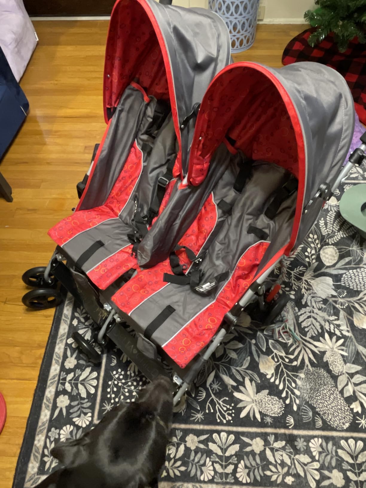 Delta Children LX Side by Side Stroller - with Recline, Storage & Compact Fold, Night Sky customer photo 1